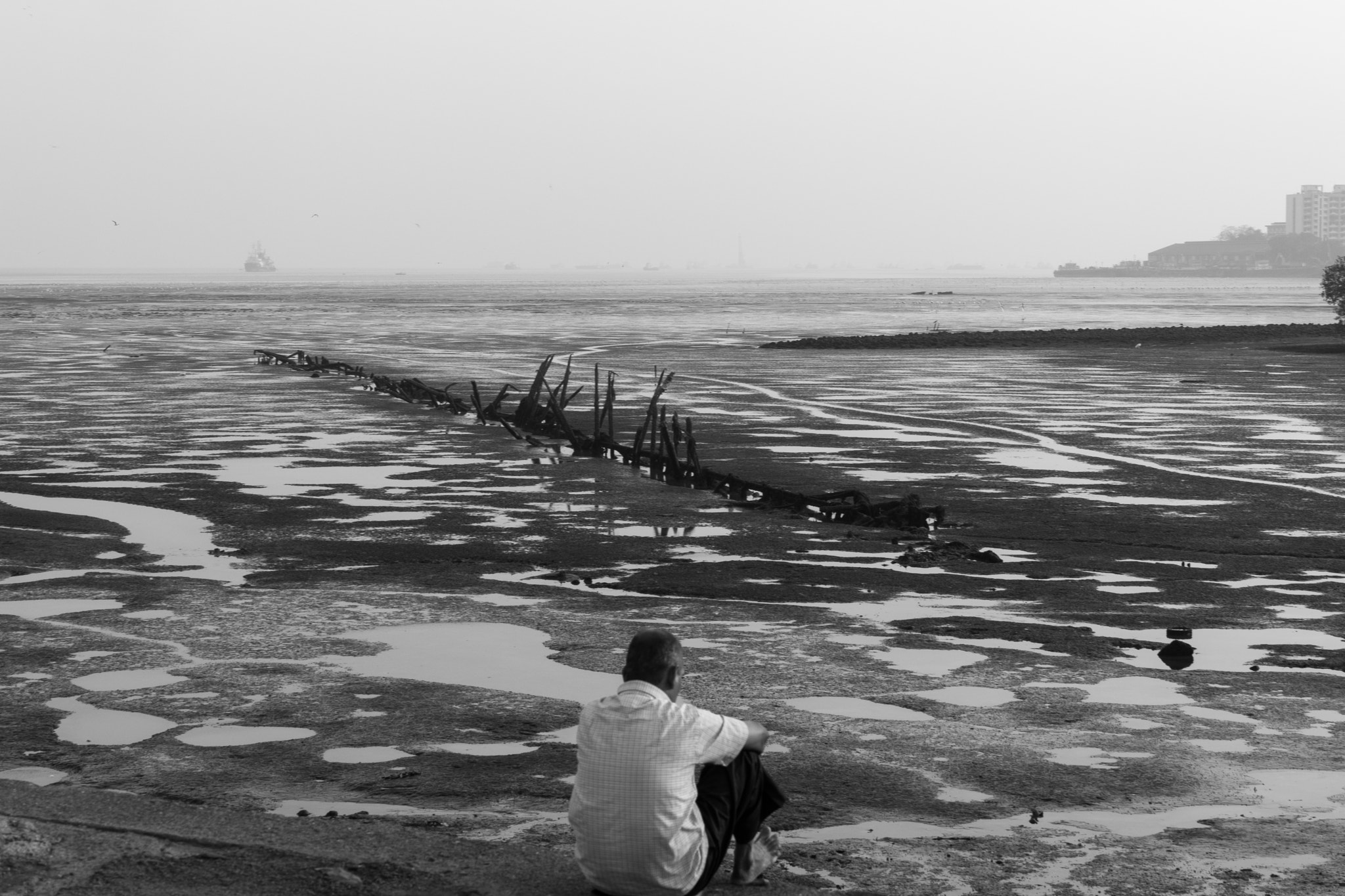 Sony FE 70-300mm F4.5-5.6 G OSS sample photo. Low tide in mumbai photography