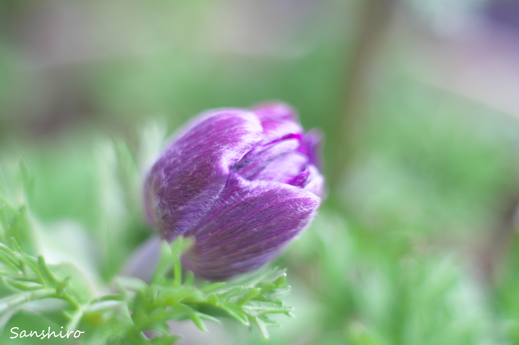 Fujifilm X-M1 sample photo. Untitled photography