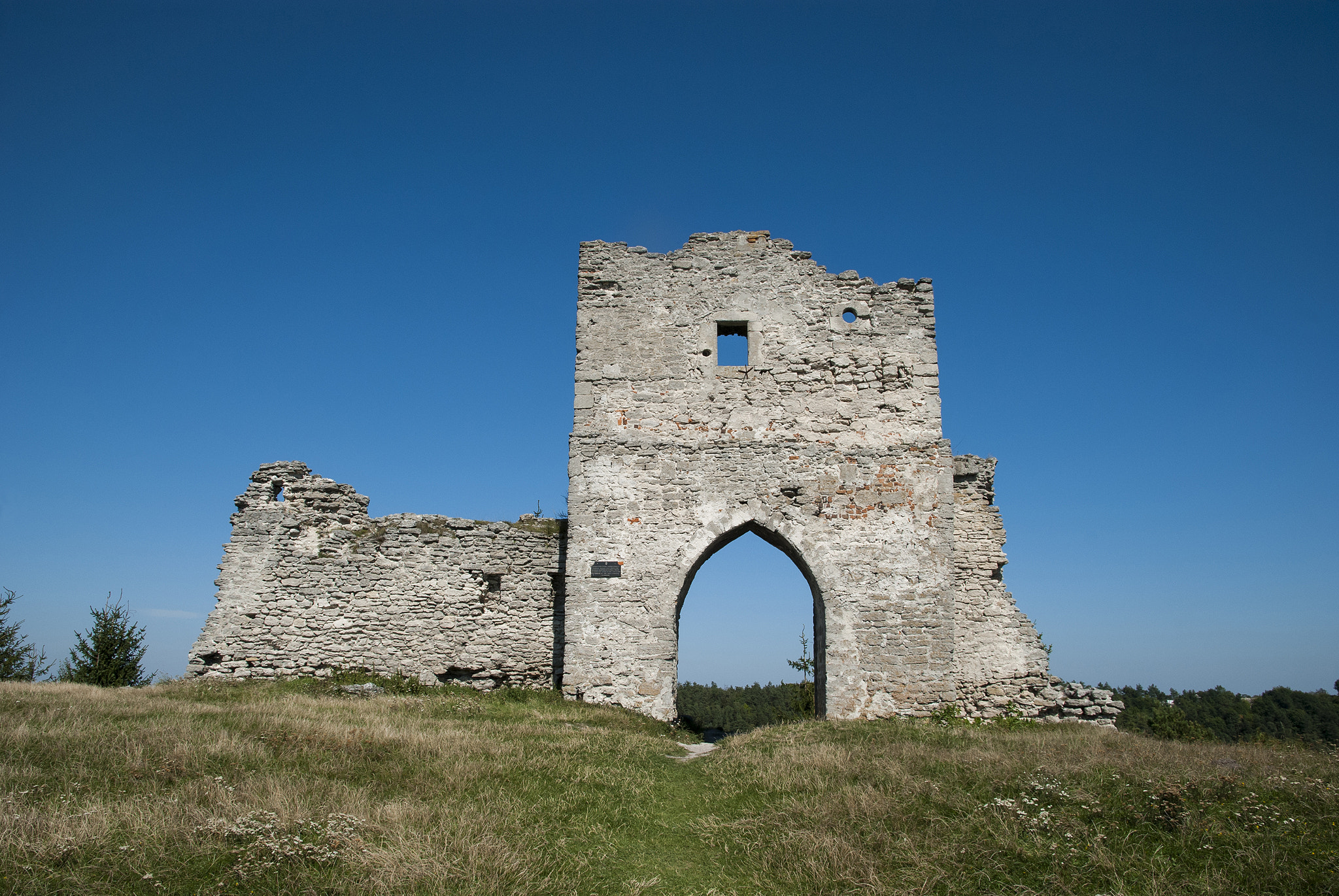 Nikon D80 sample photo. Ancient castle ruins (ukraine, built in 12th century) photography