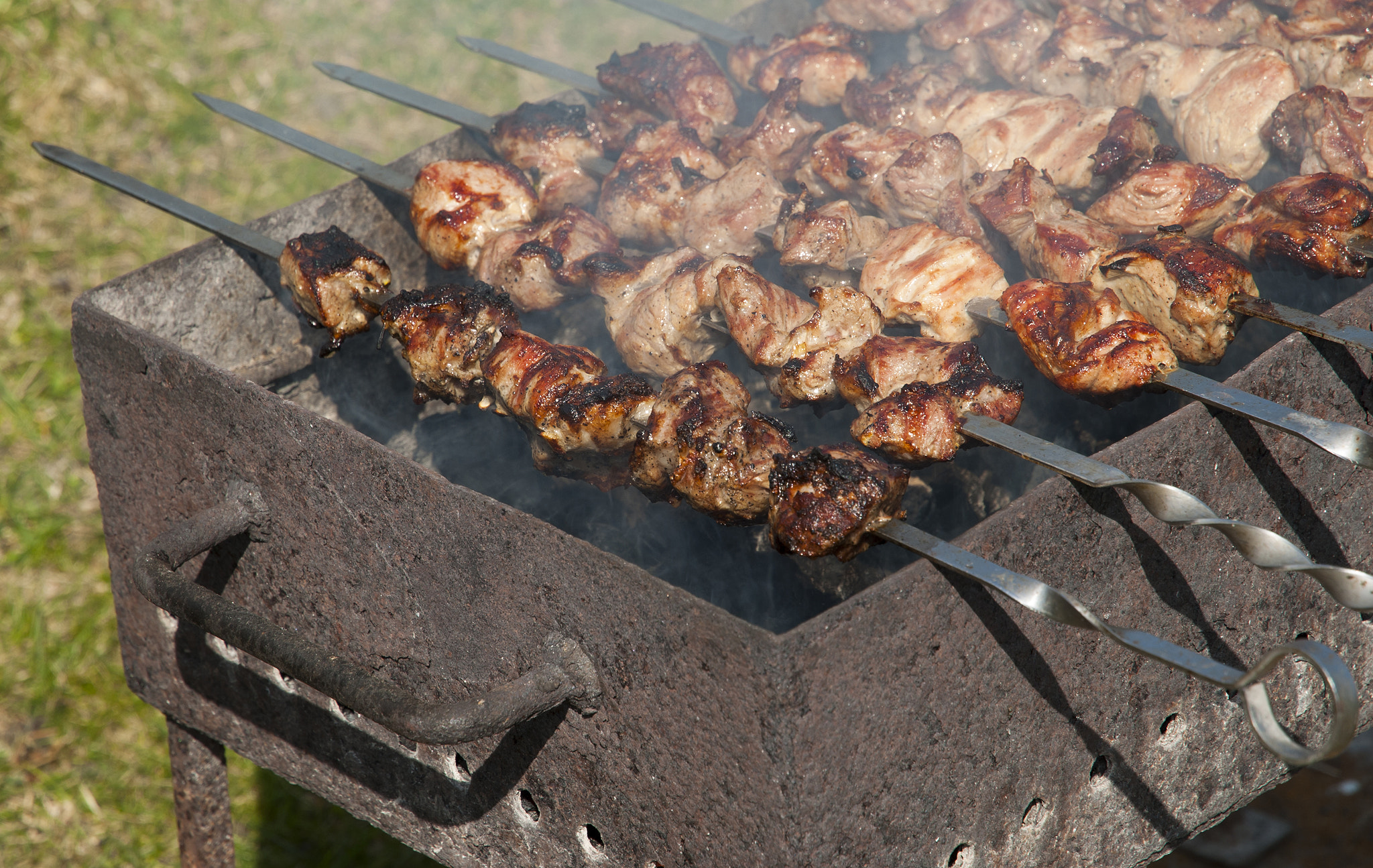 Nikon D80 sample photo. Grilling marinated meat on a brazier photography