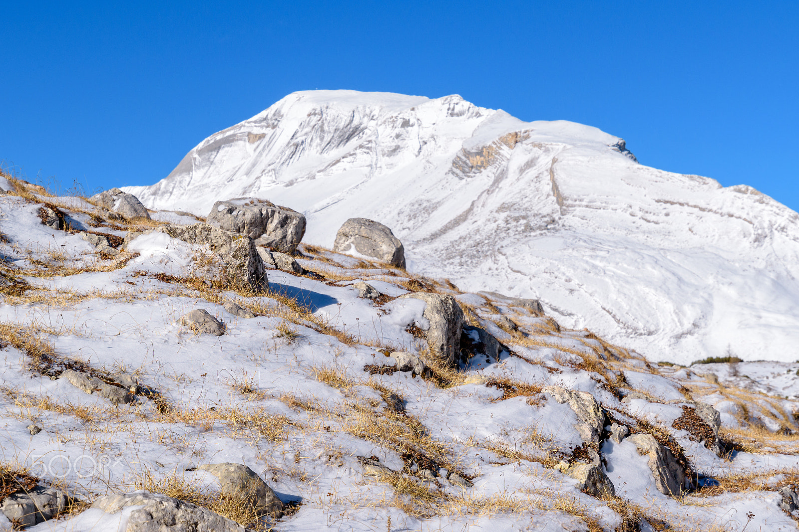 Nikon D5500 sample photo. Sas dales nü photography
