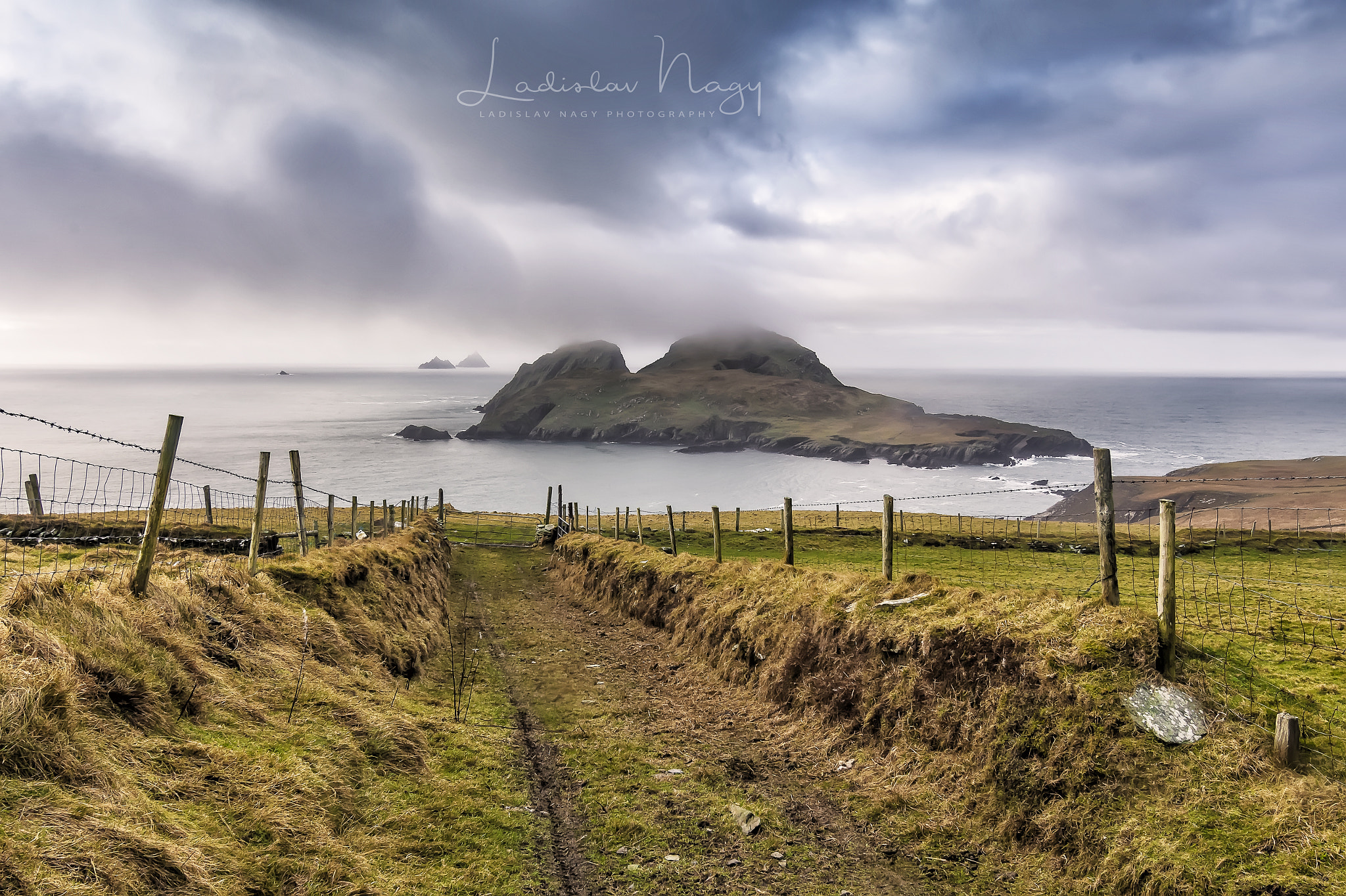 Nikon D500 sample photo. Puffin island photography