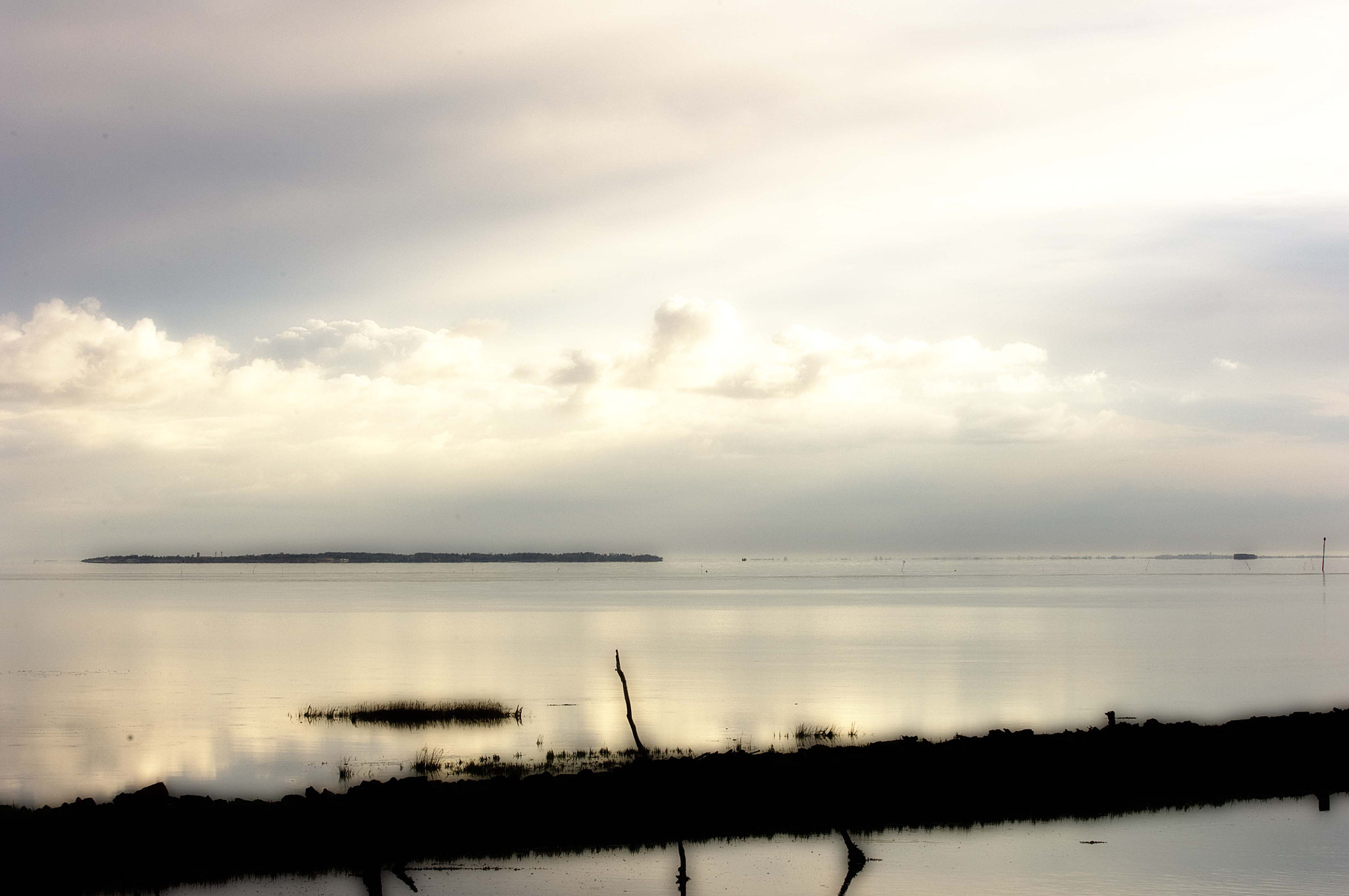 Nikon D2X sample photo. Zee photography