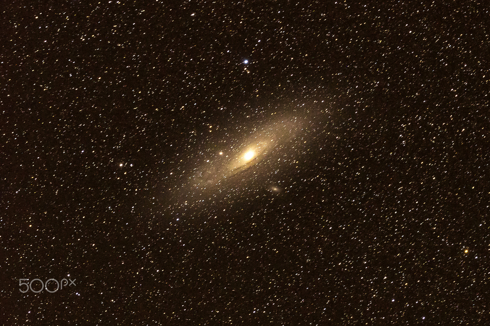 Pentax K-3 II sample photo. The andromeda galaxy which distance 2.5 million light years from photography