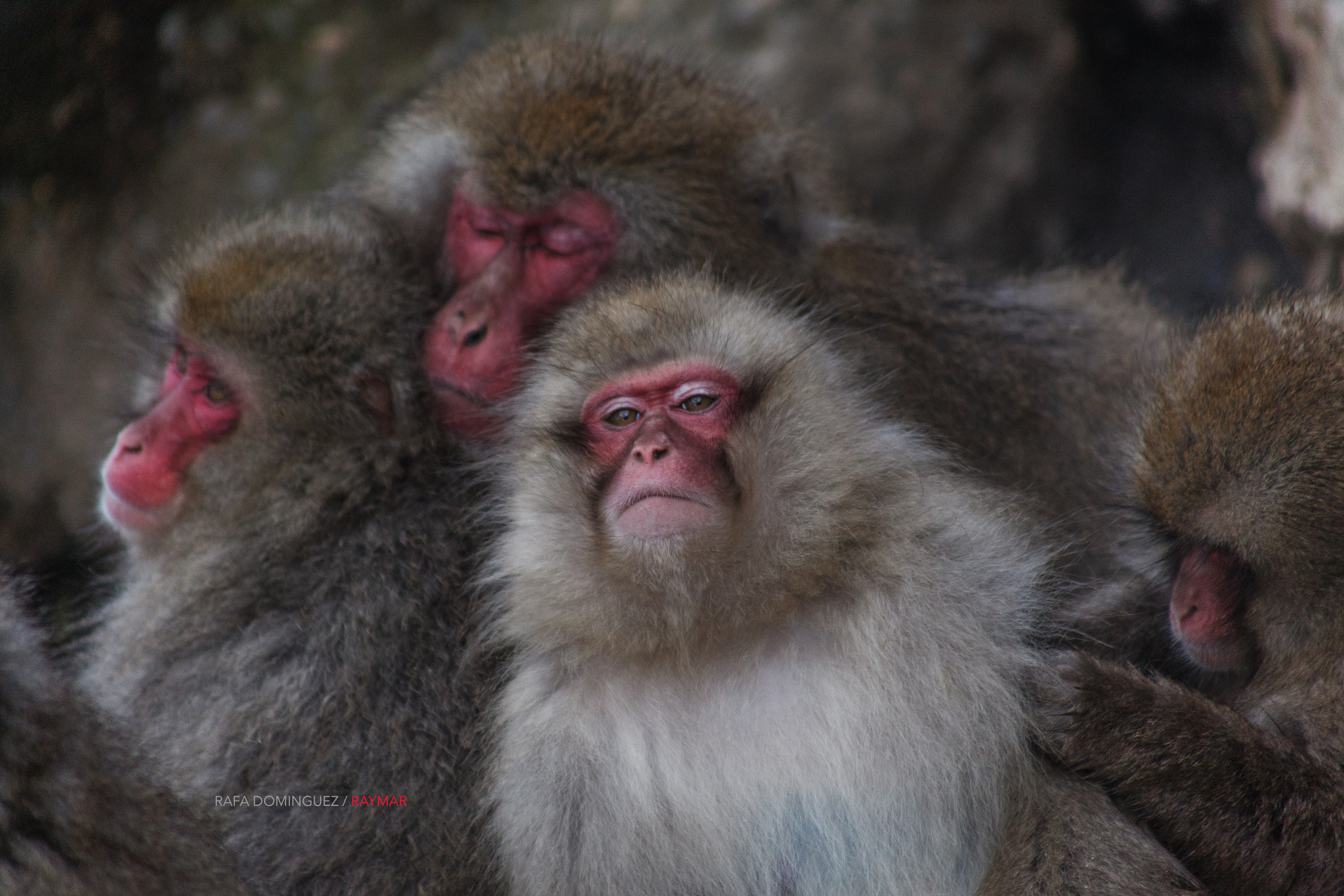 EF75-300mm f/4-5.6 sample photo. Free time photography