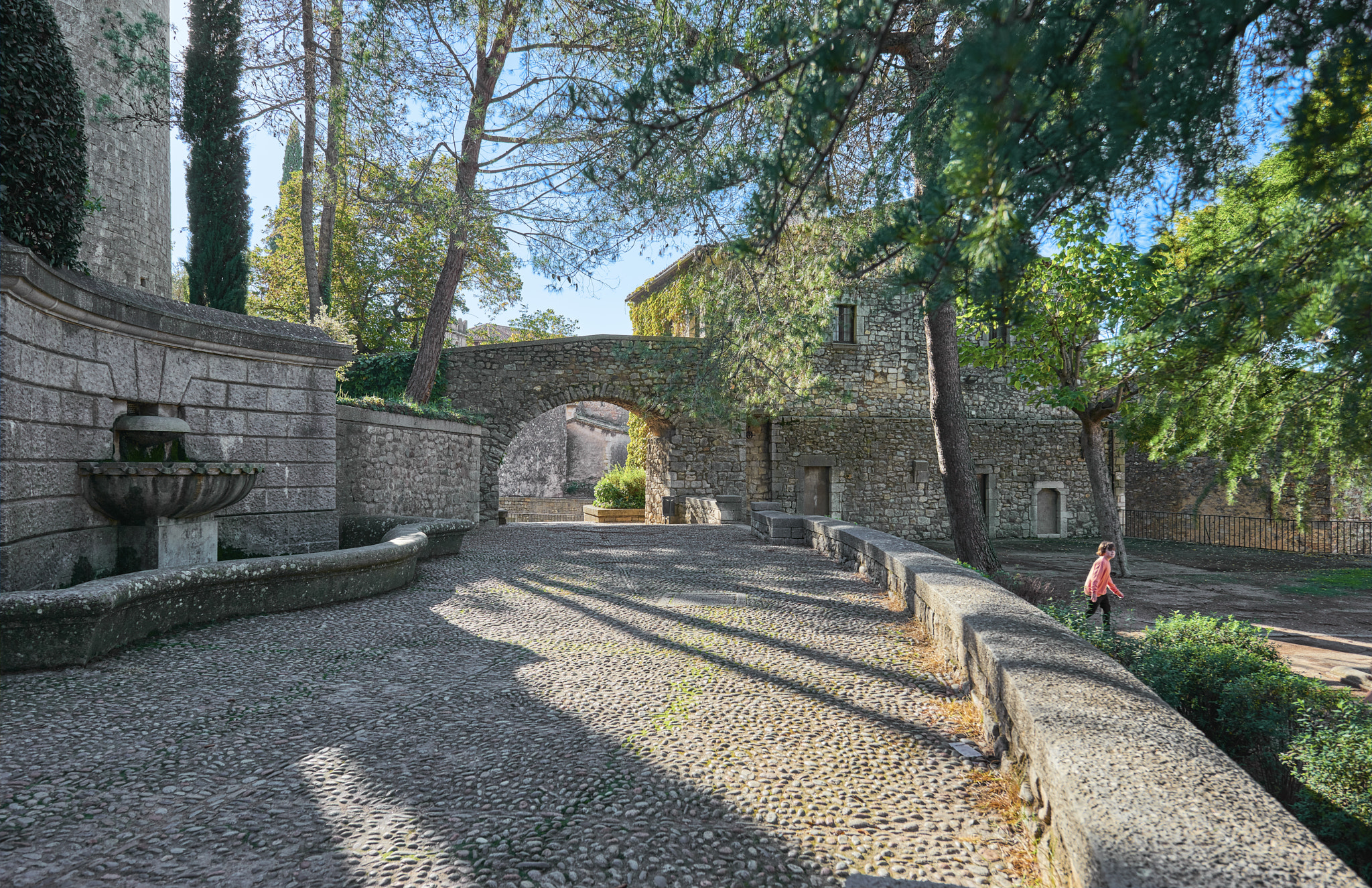 Nikon AF-S Nikkor 14-24mm F2.8G ED sample photo. Muralla de gerona photography