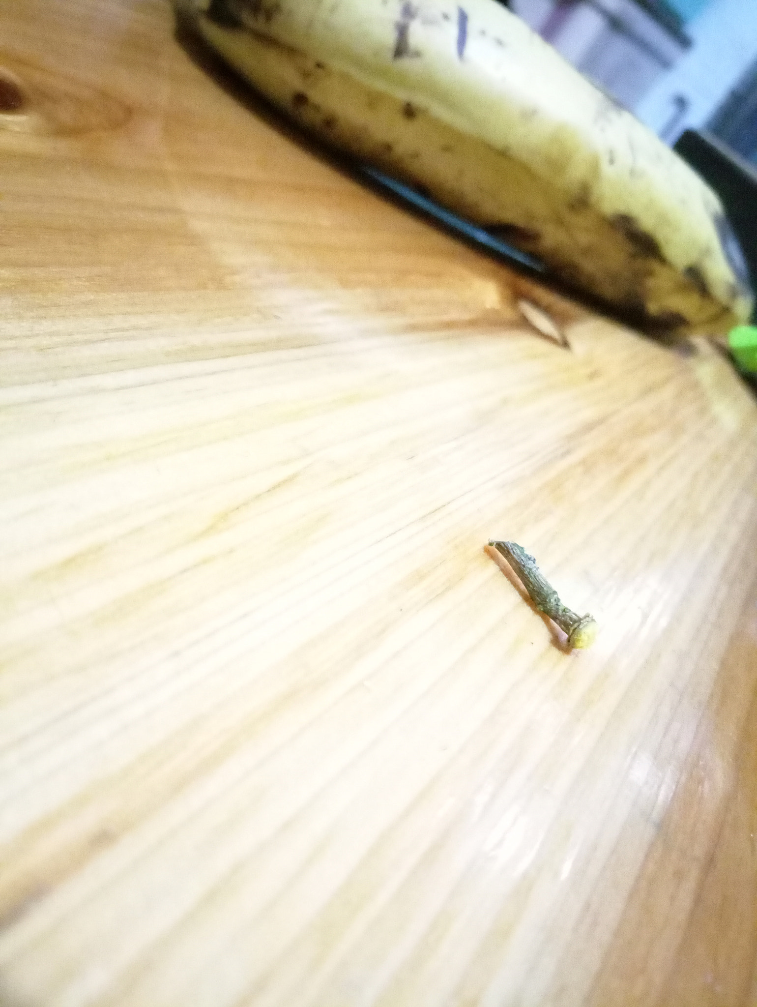Meizu MX6 sample photo