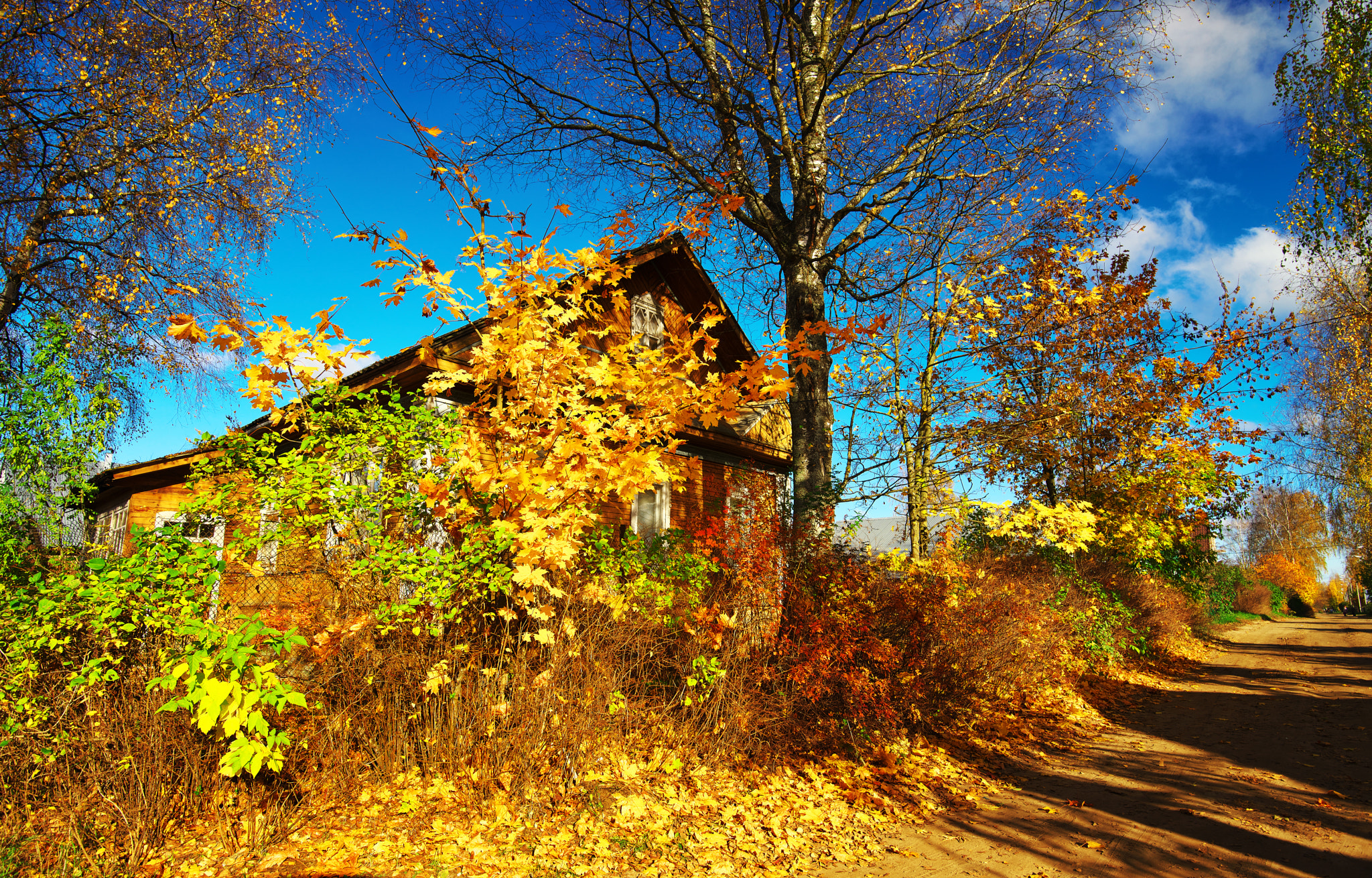 Nikon D800 sample photo. Autumn in the village photography