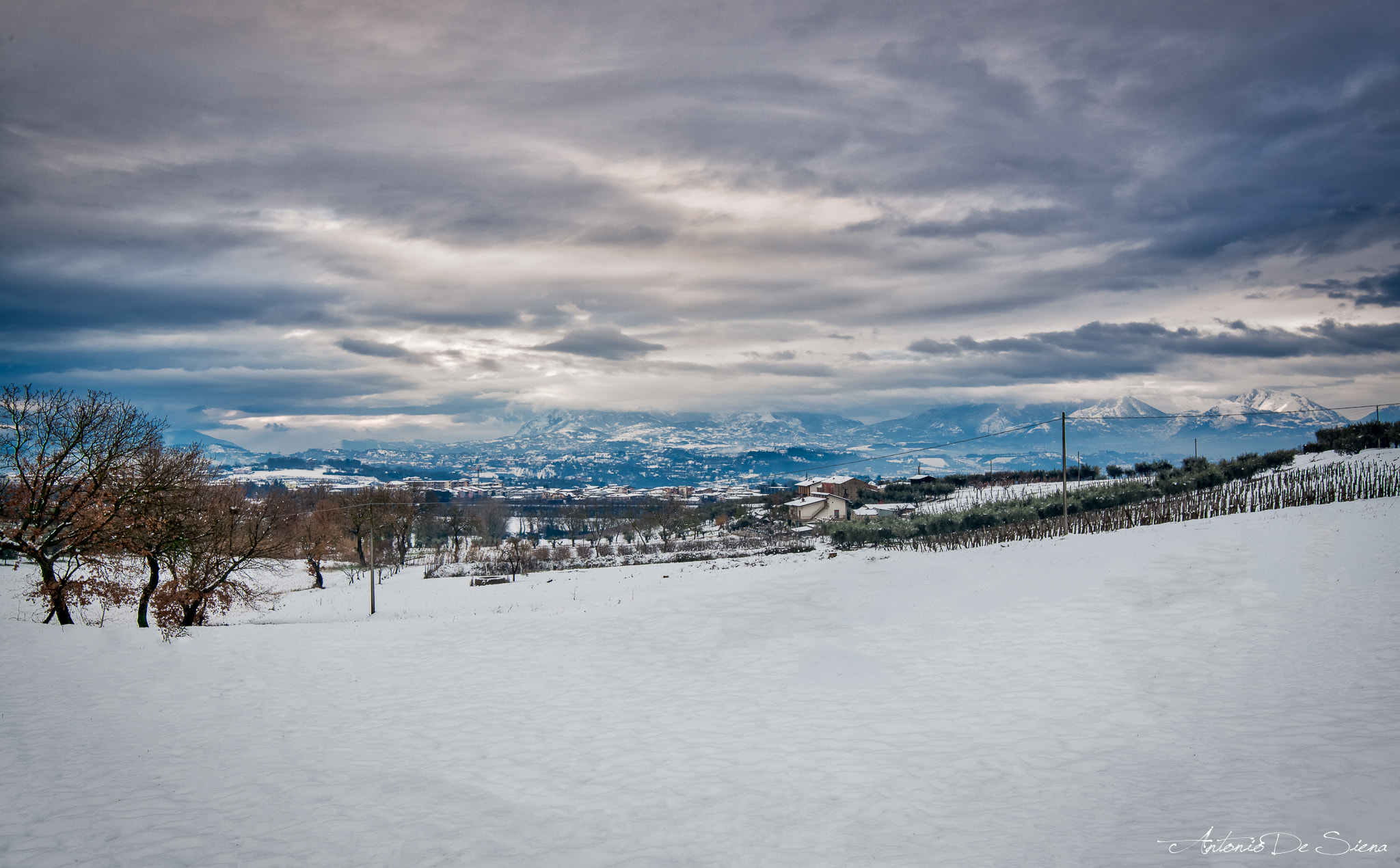 Tamron SP 15-30mm F2.8 Di VC USD sample photo. Sleeping beauty under the snow photography