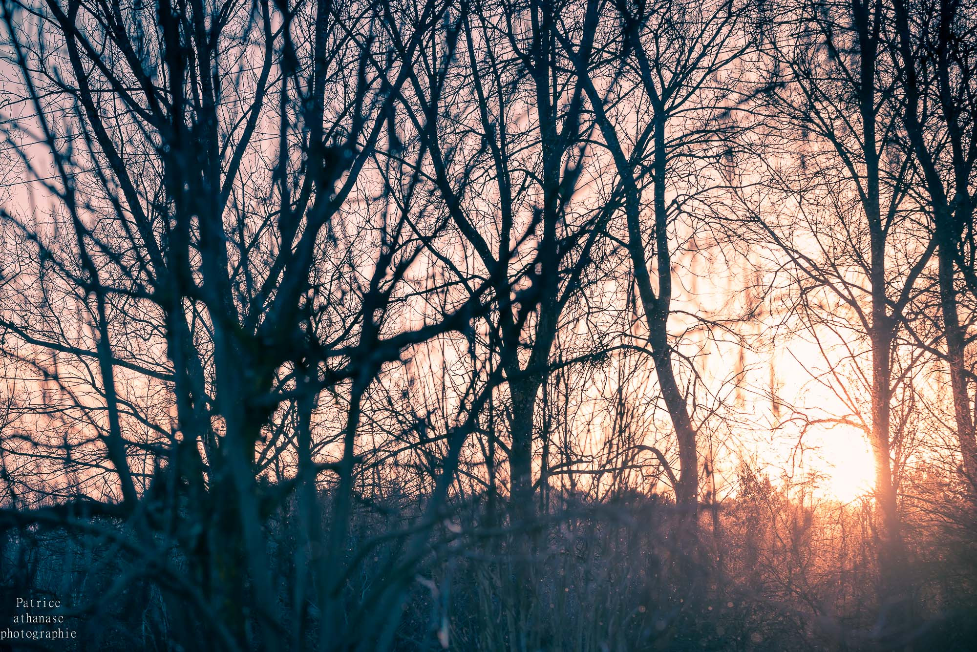 Sigma 150mm F2.8 EX DG OS Macro HSM sample photo. Un matin sur terre/ one morning on earth photography