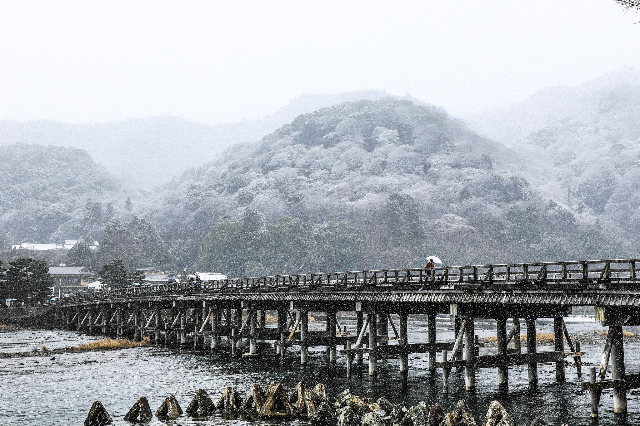 Canon EF 16-35mm F4L IS USM sample photo. Untitled photography