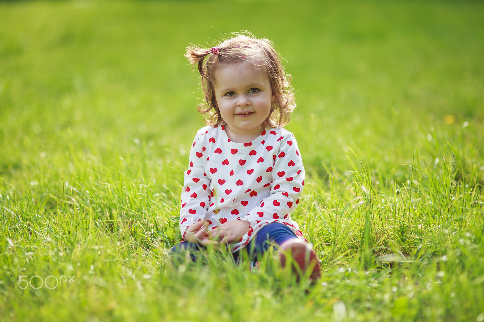 Sigma 85mm F1.4 EX DG HSM sample photo