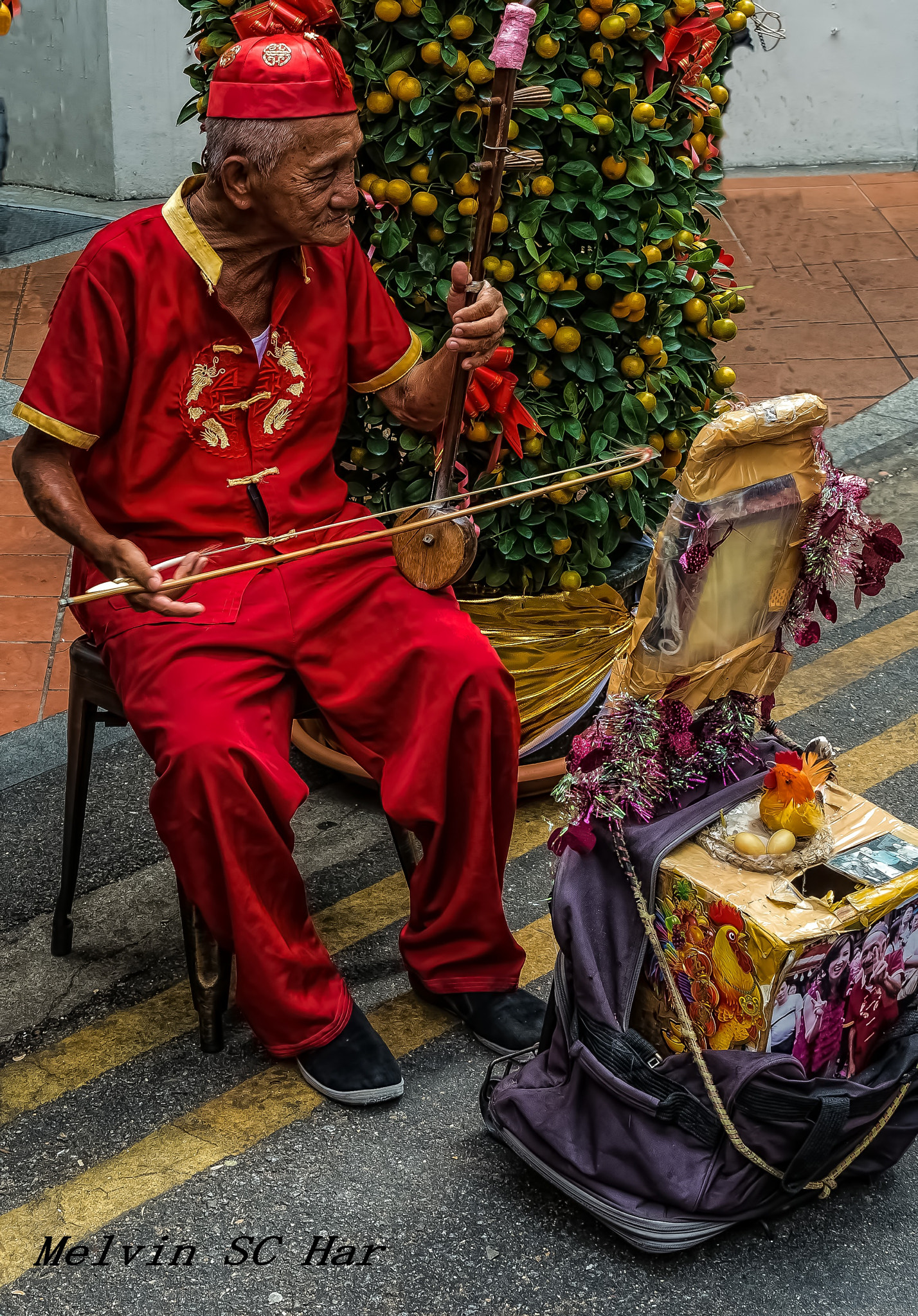 Tamron SP 24-70mm F2.8 Di VC USD sample photo. A dedication to the year of the rooster photography