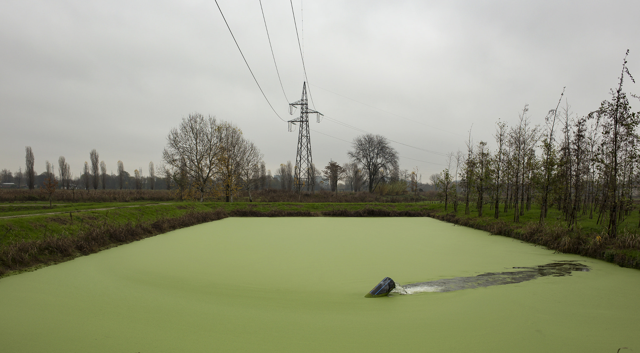 Canon EOS 6D + Canon EF 35mm F2 sample photo. Green pond photography