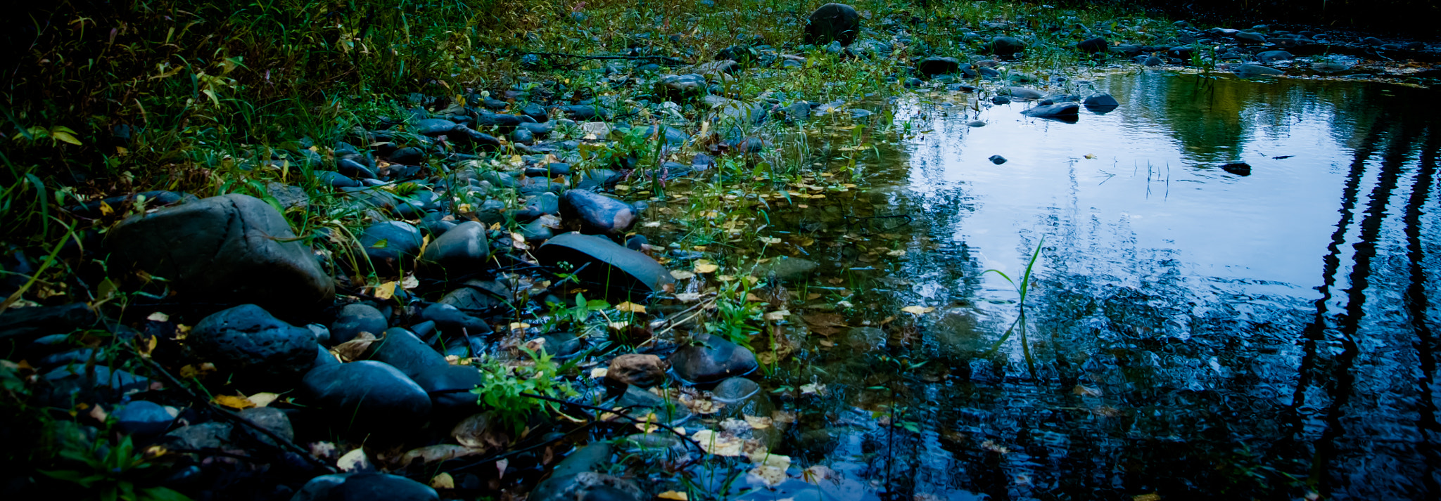 Sony DT 16-105mm F3.5-5.6 sample photo