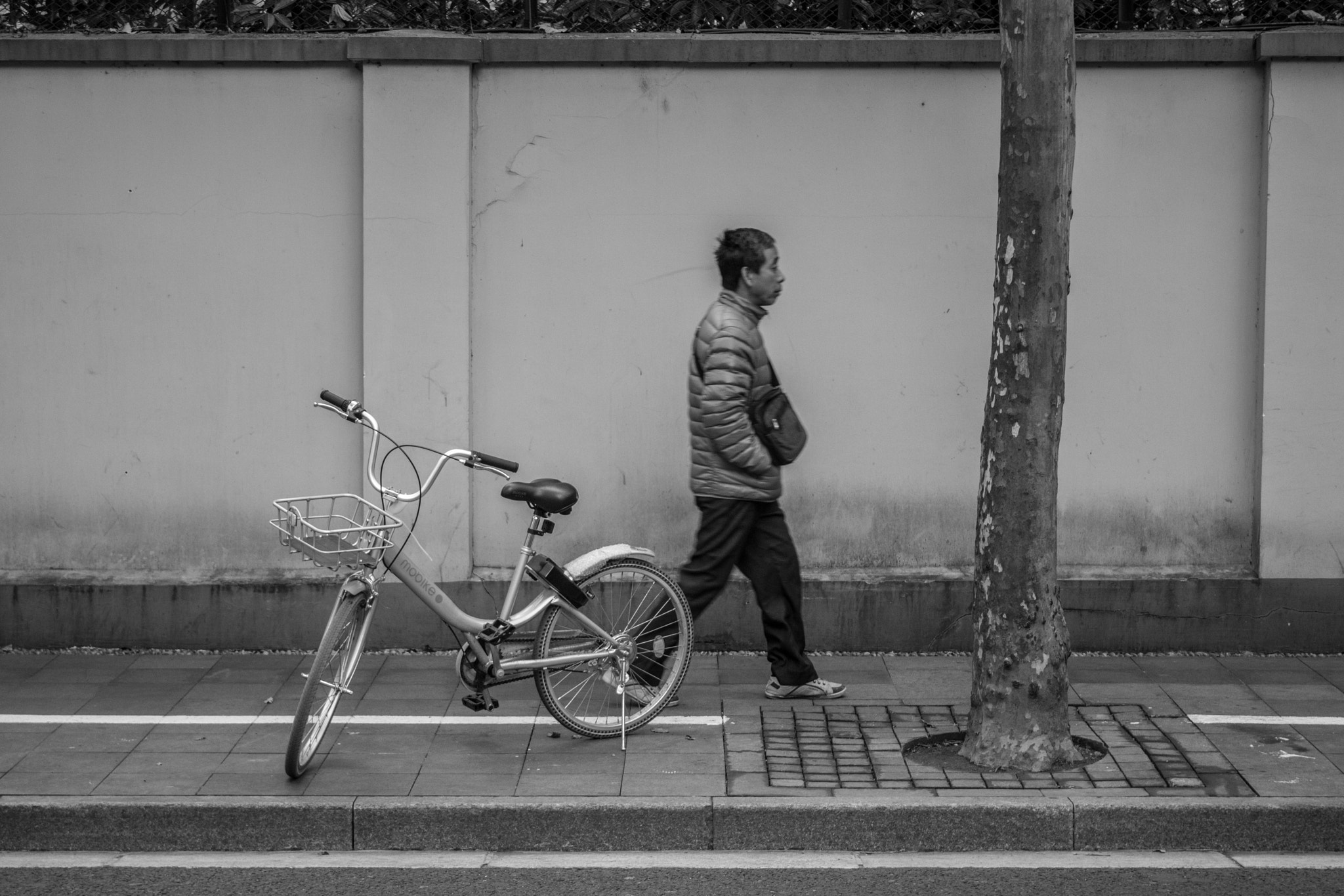 Canon EOS 80D sample photo. Bicycle and guy photography