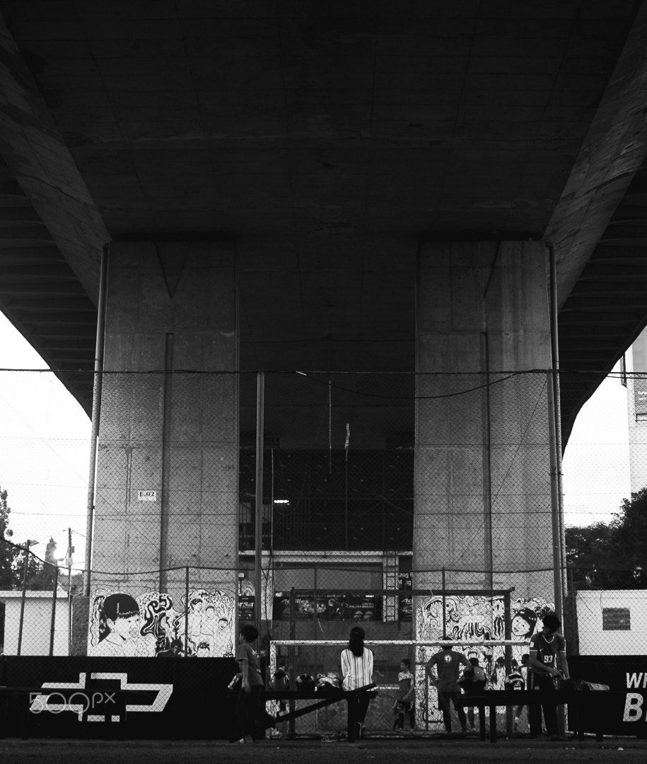 Canon EF-S 24mm F2.8 STM sample photo. Under flyover photography