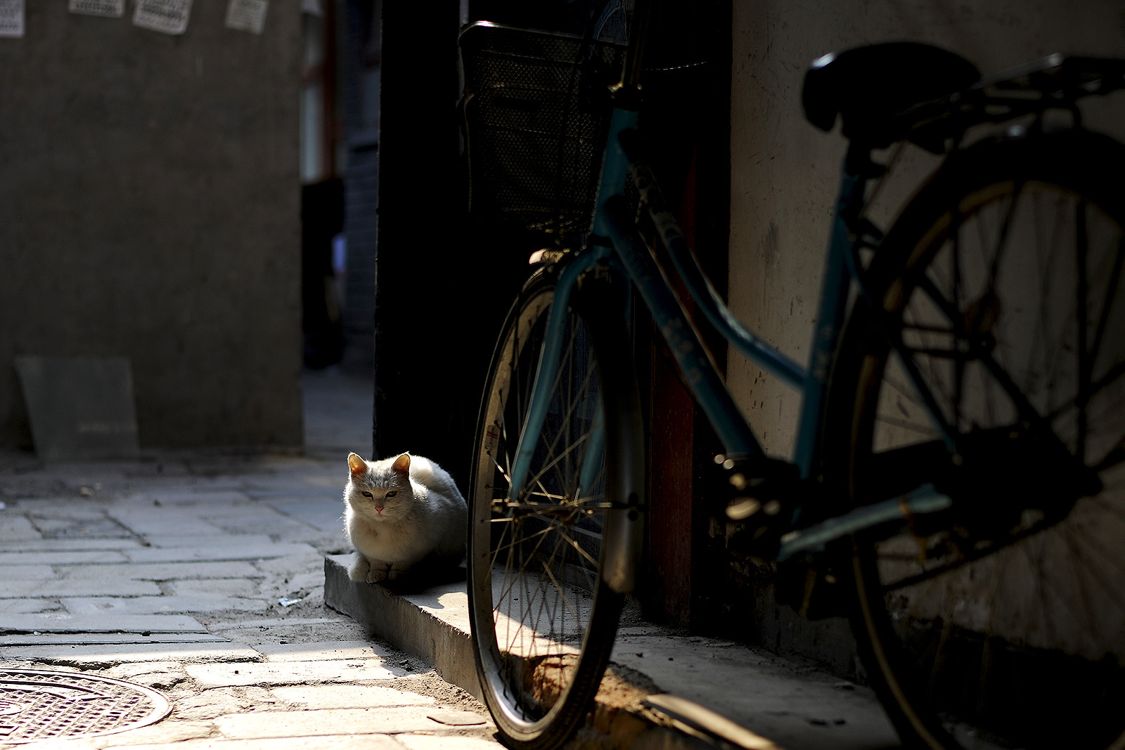 Nikon D3X + Nikon AF-S Nikkor 58mm F1.4G sample photo. Lmpression 2 photography