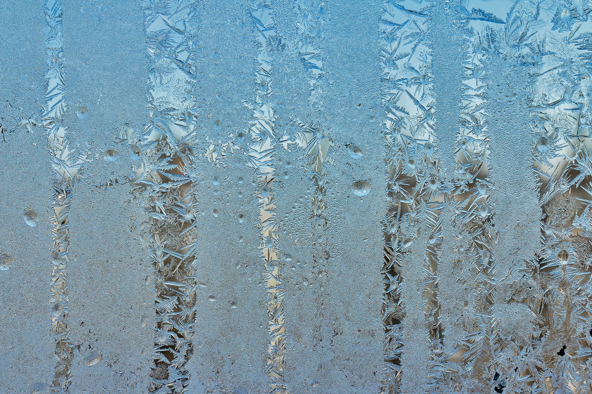 Canon EOS 70D + Canon EF 40mm F2.8 STM sample photo. Frozen photography