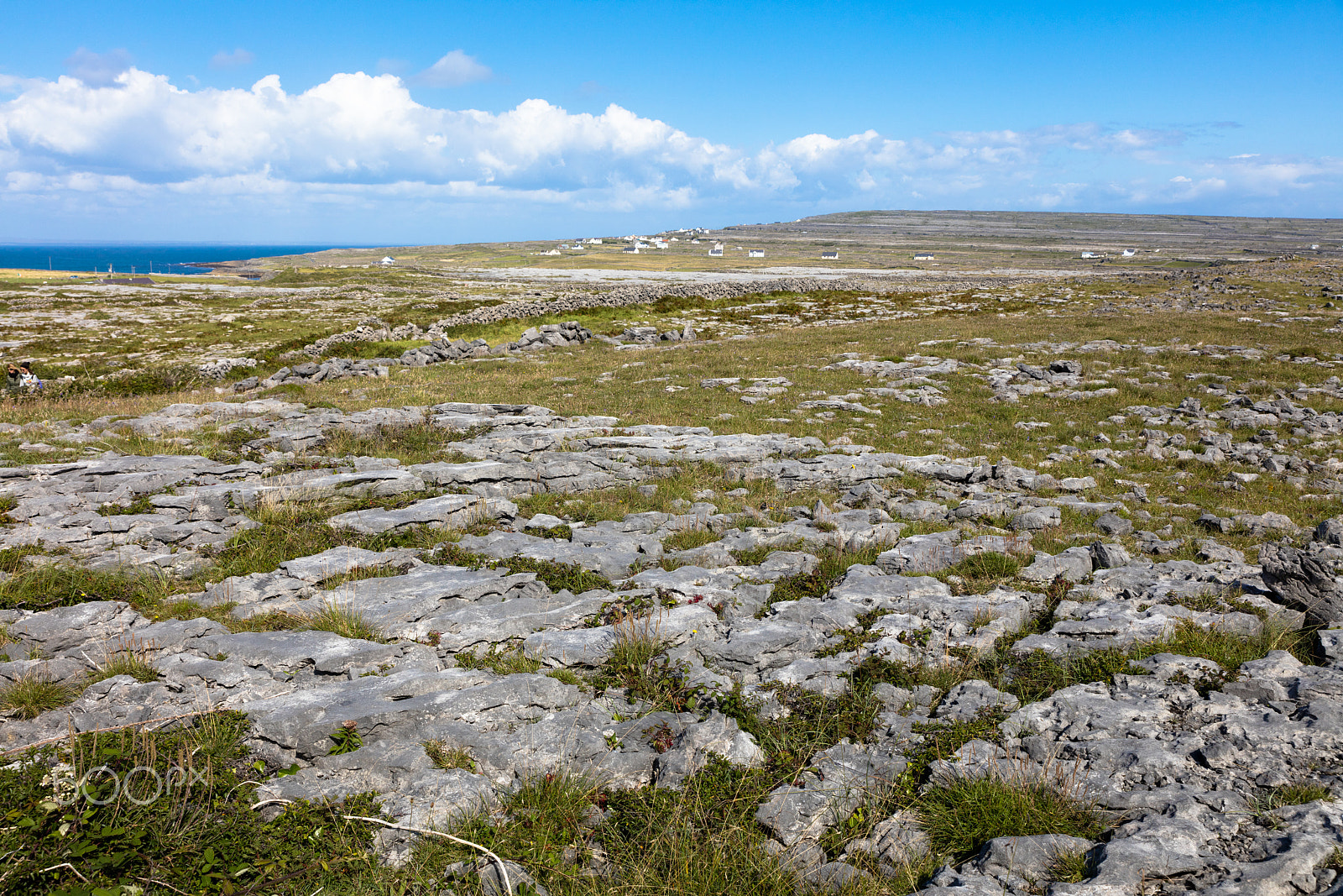 Sigma 24-70mm F2.8 EX DG Macro sample photo. Inish more, ireland photography
