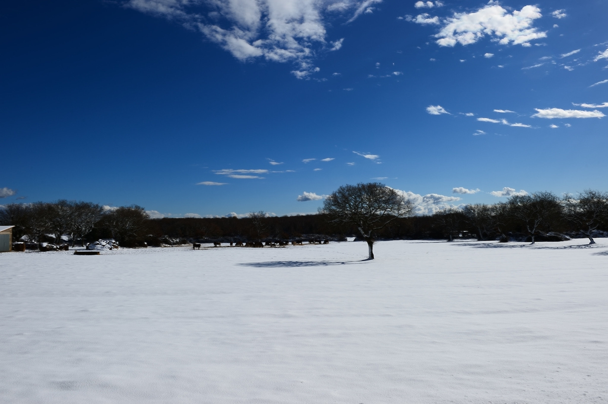 Nikon Df sample photo. Calm photography