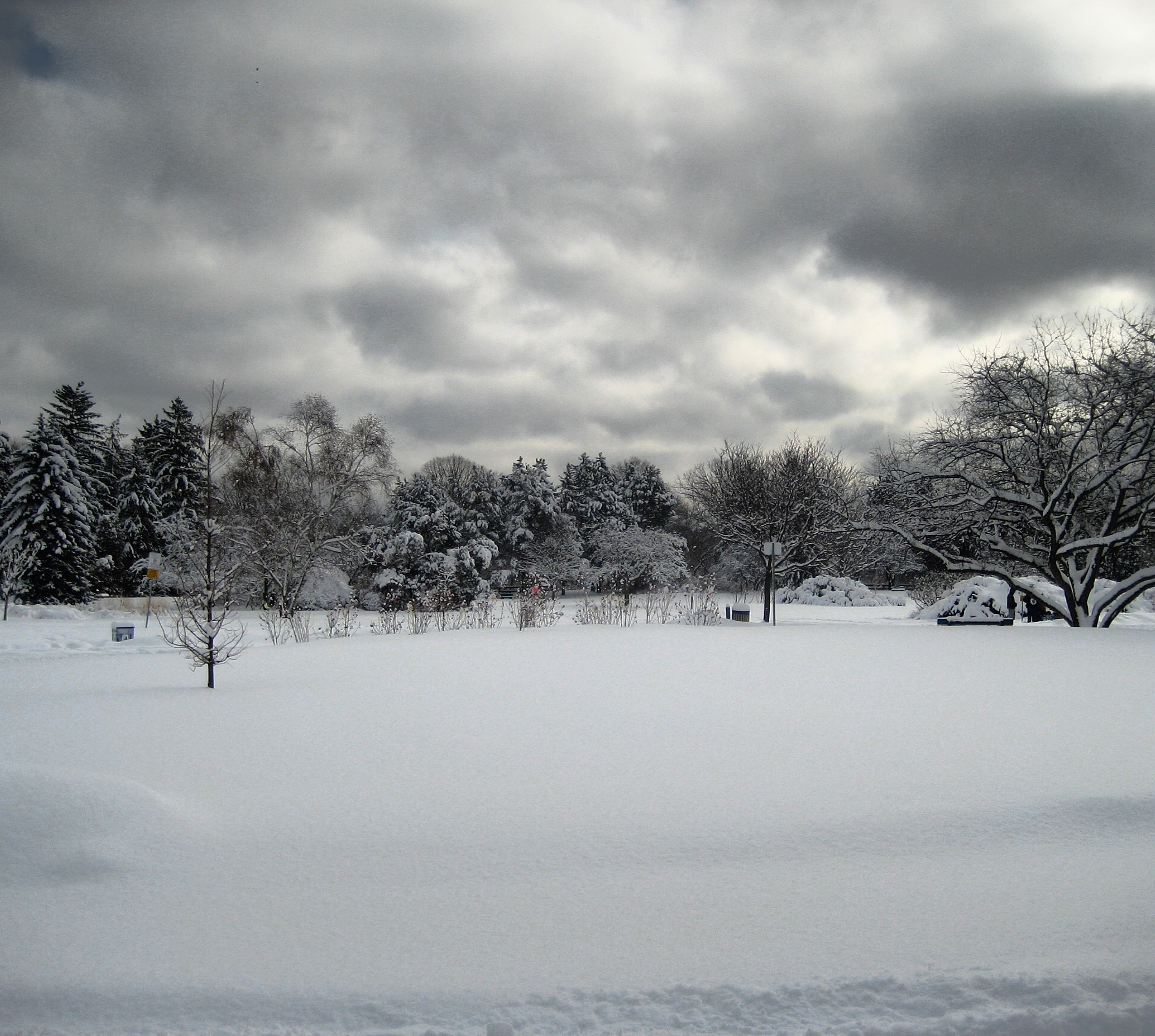 Canon POWERSHOT SD1000 sample photo. Winter. #ontario #canada photography