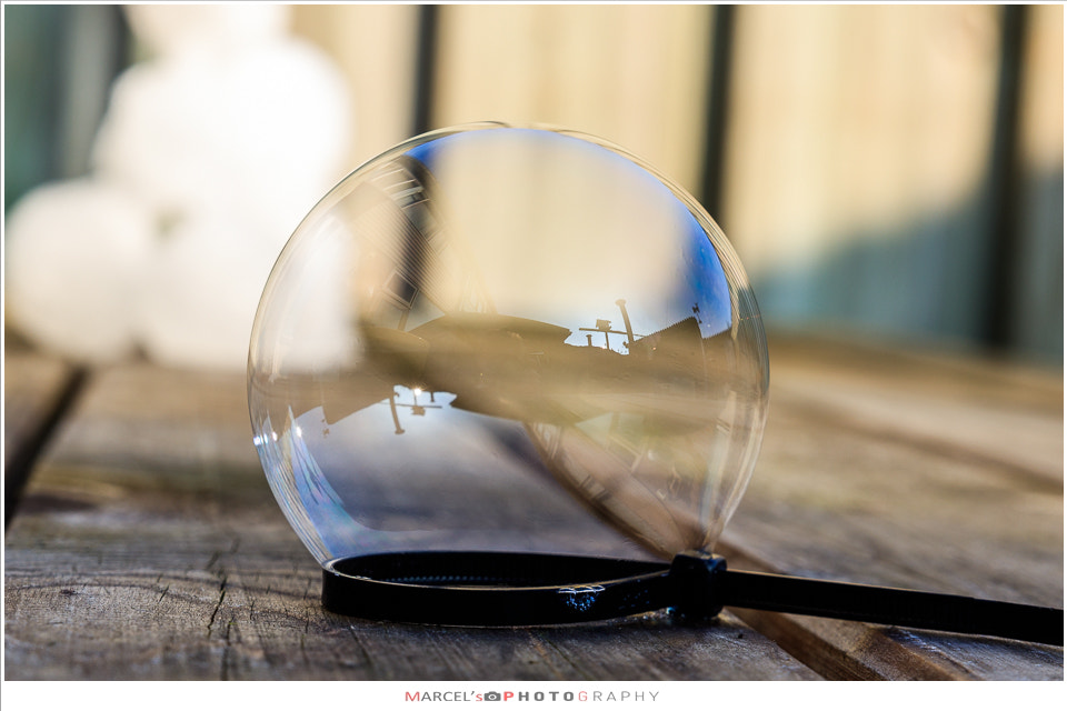 Canon EOS 80D + Sigma 24-70mm F2.8 EX DG Macro sample photo. Zeepbel photography