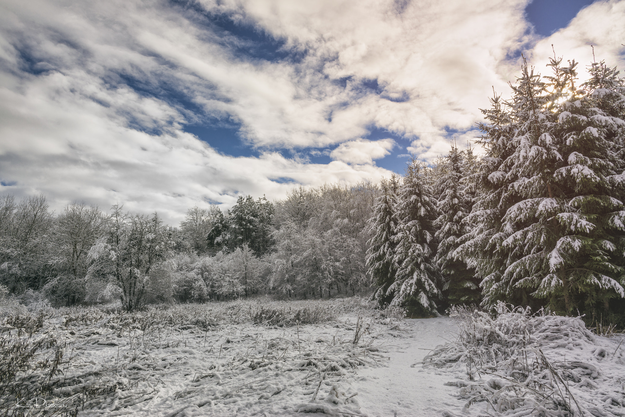 Nikon D800 + Nikon AF-S Nikkor 24mm F1.4G ED sample photo. Őrség hungary 2017 photography