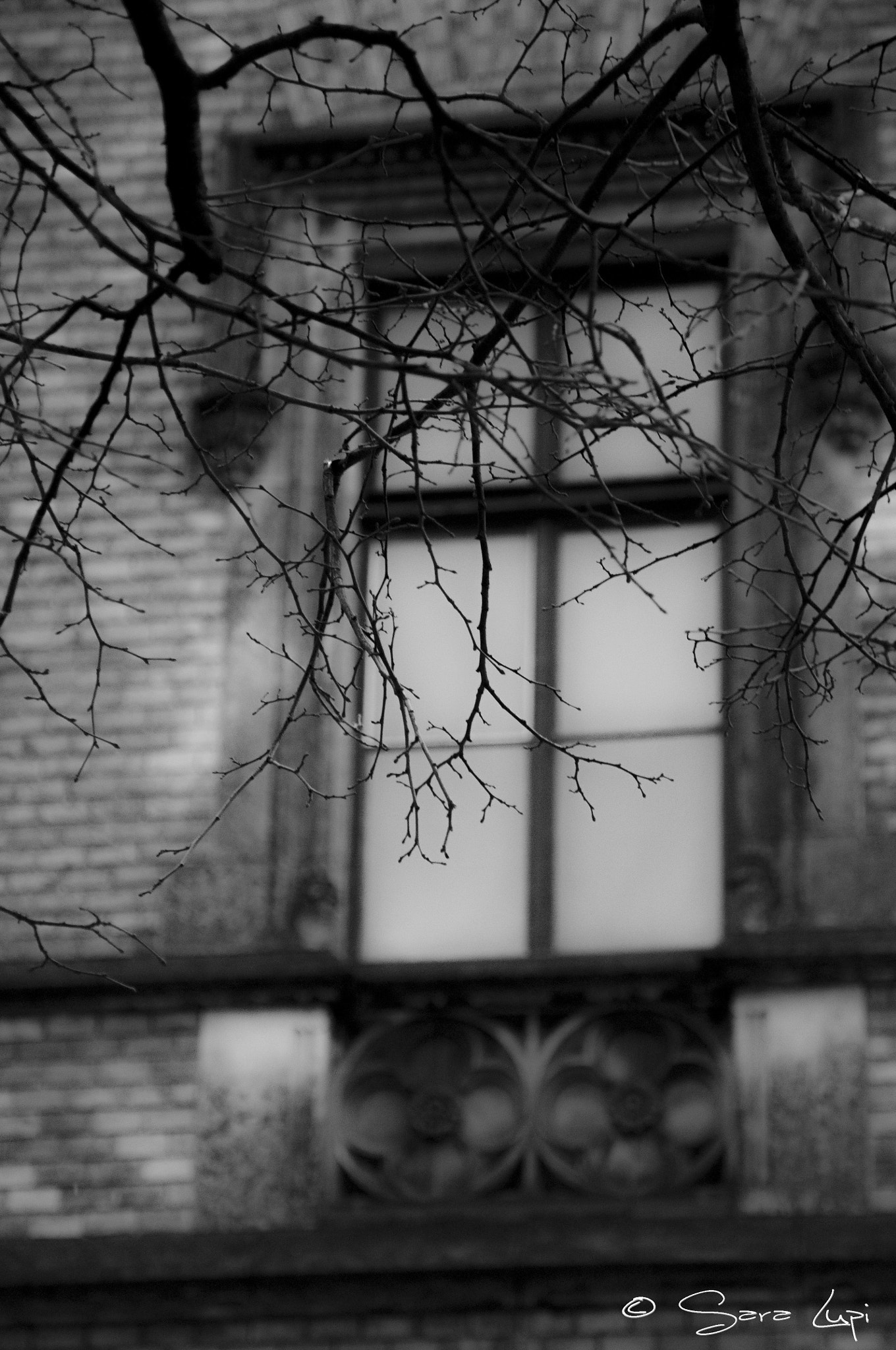 Nikon D5000 sample photo. The secret photography