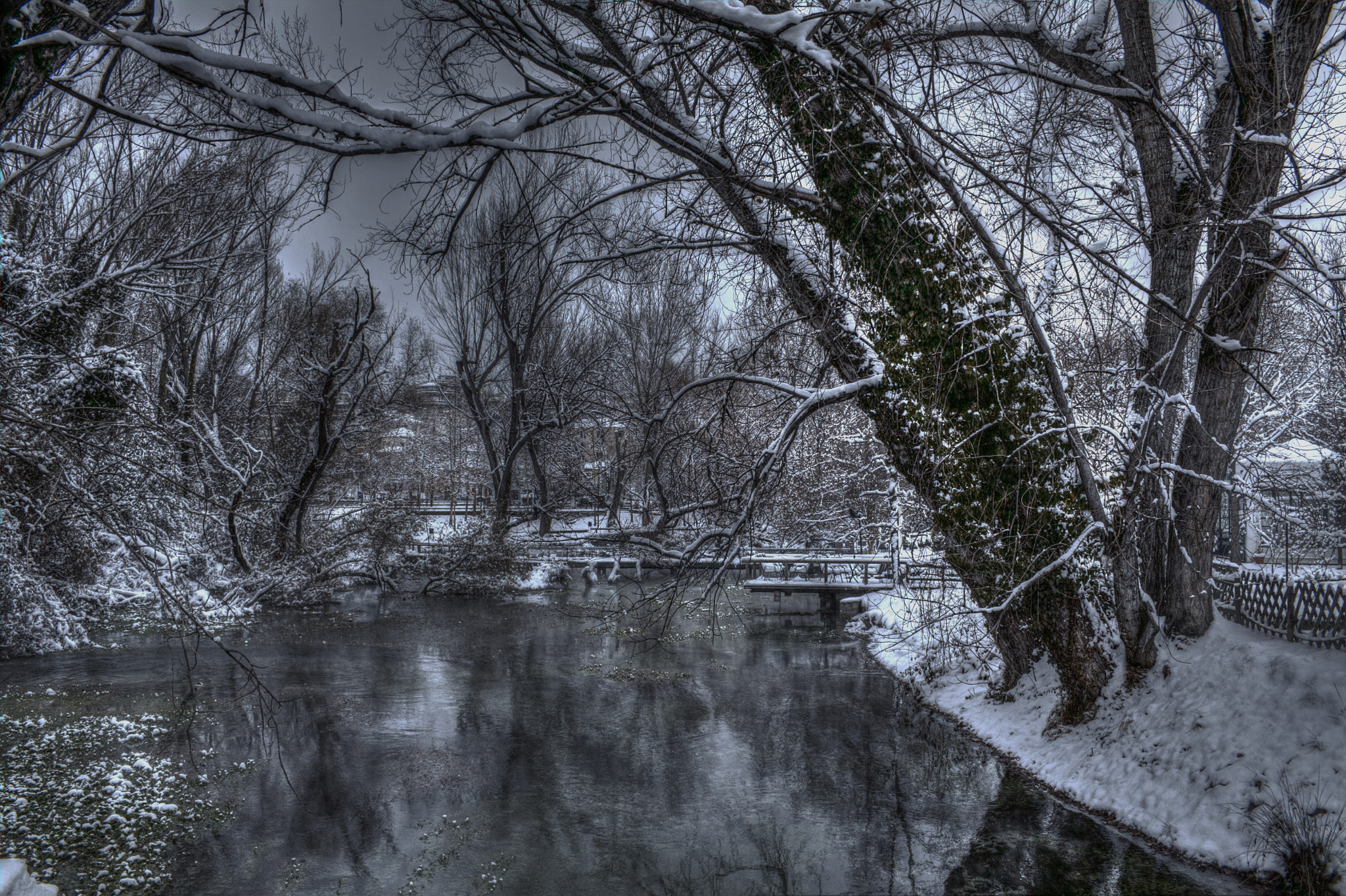 Canon EF-S 18-55mm F3.5-5.6 II sample photo. St. barbara park photography
