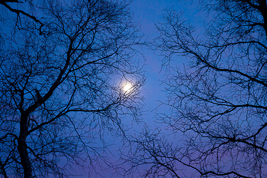 Canon EF 16-35mm F4L IS USM sample photo. Lifelines photography