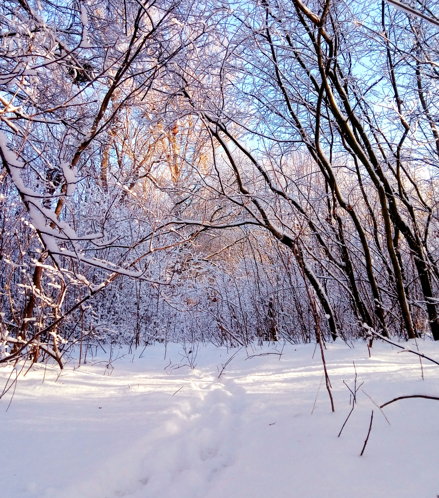 Meizu M3s sample photo. Winter photography
