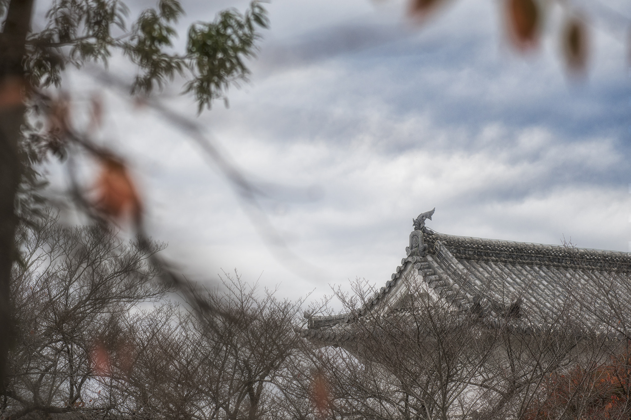 Nikon AF-S Nikkor 70-200mm F4G ED VR sample photo. 孤獨是冬夜下的雨 photography
