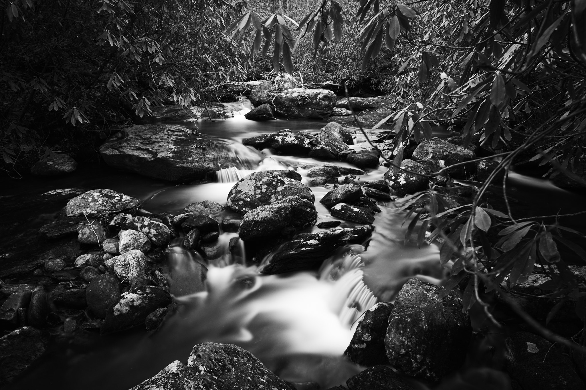 Nikon D3 sample photo. Whiteoak photography