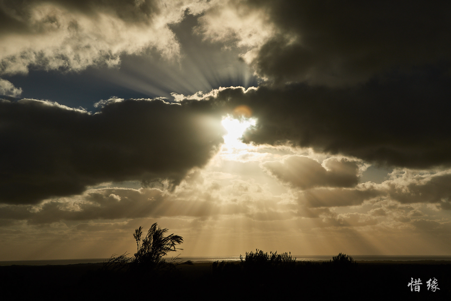 Canon EF 24-105mm F4L IS USM sample photo. Marvelous light beam @pinnacles photography