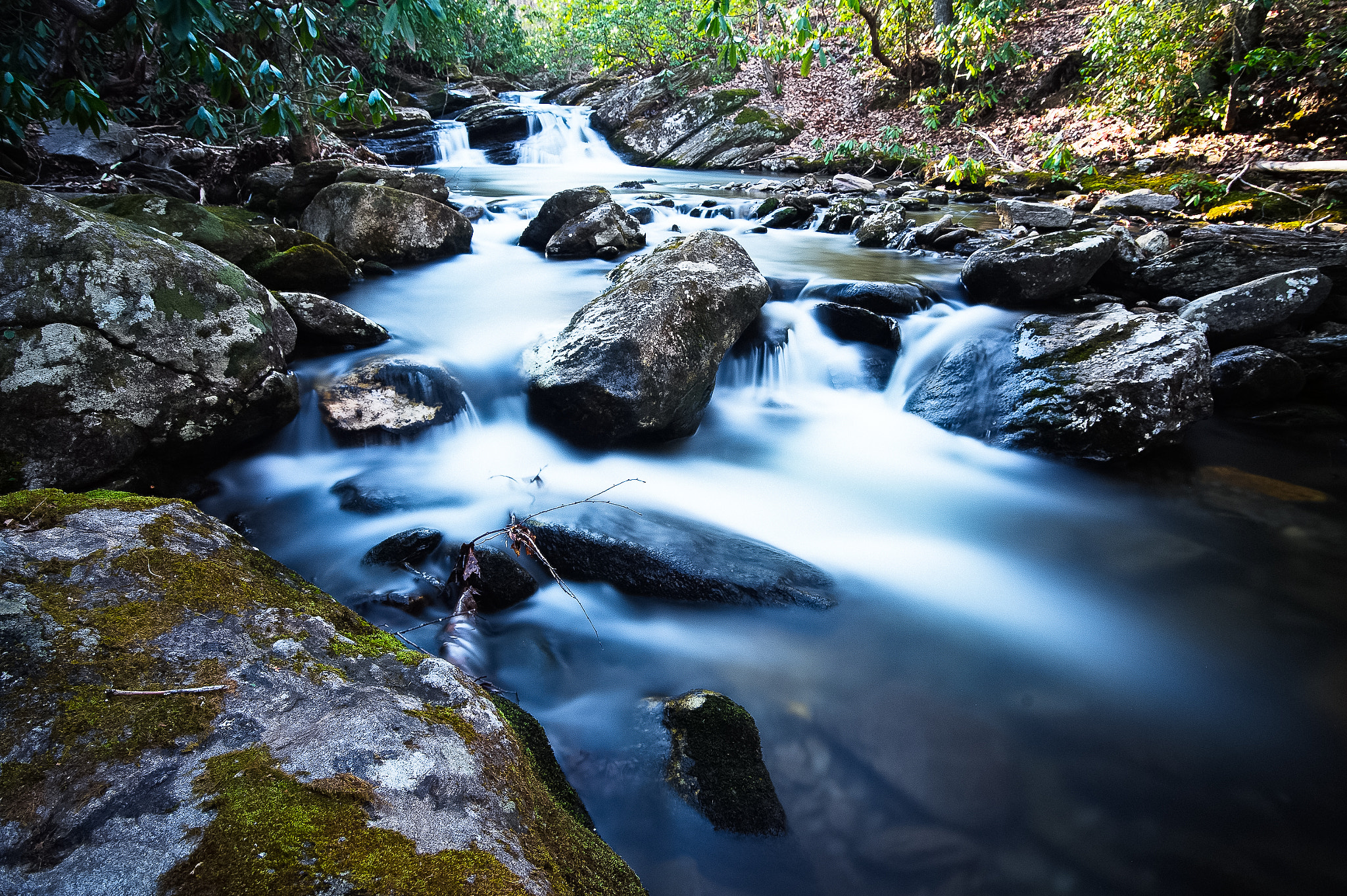 Nikon D3 sample photo. Whiteoak photography