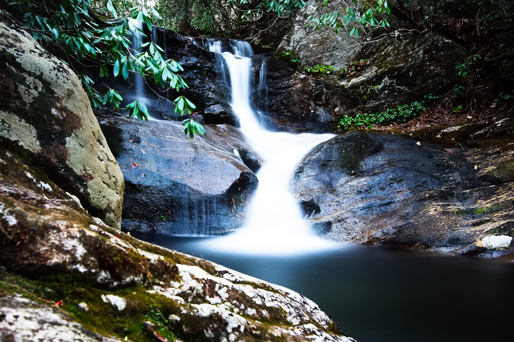 Nikon D3 sample photo. Whiteoak photography