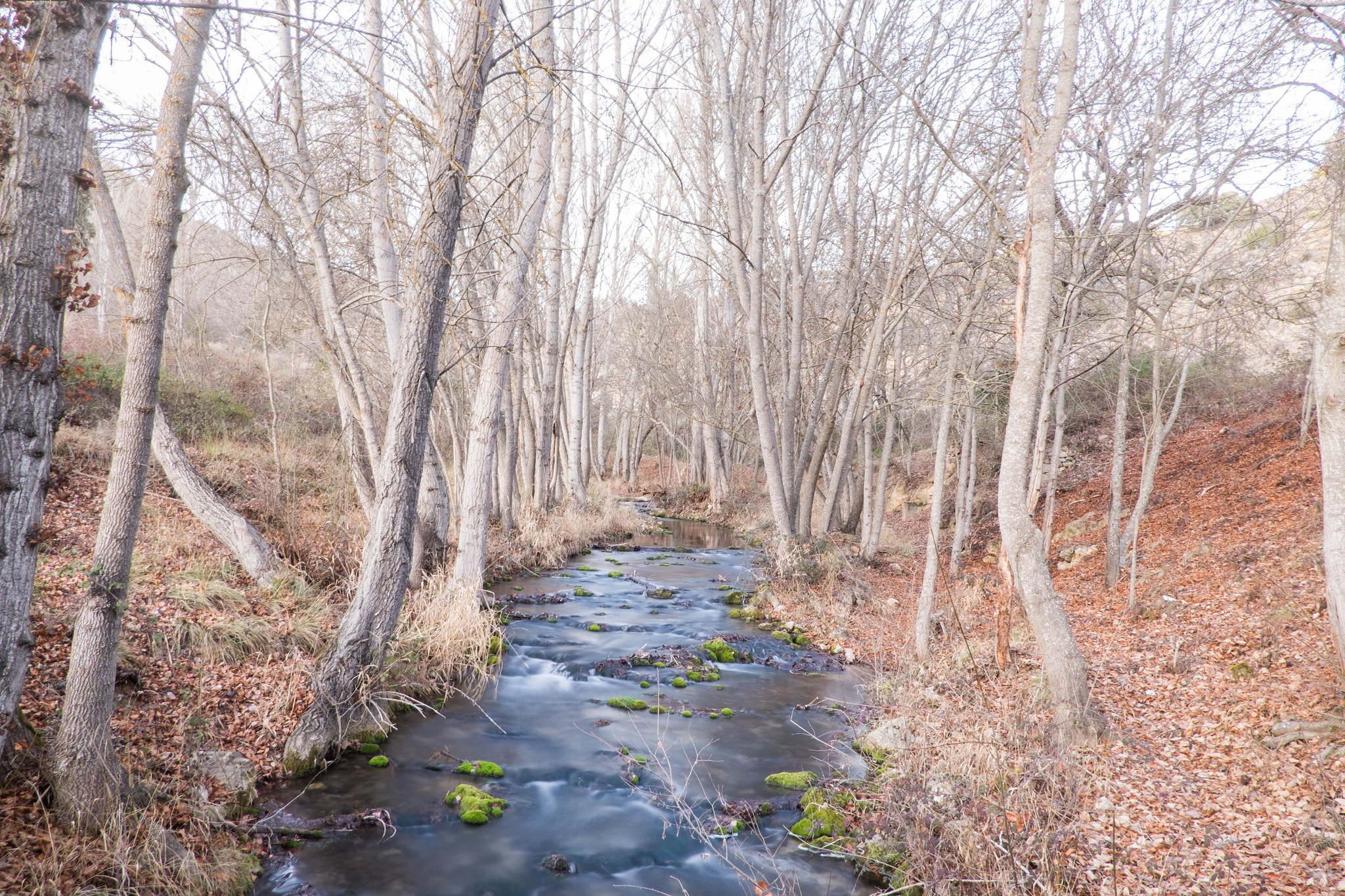 Fujifilm X-T10 + Fujifilm XF 18mm F2 R sample photo. Dsf photography