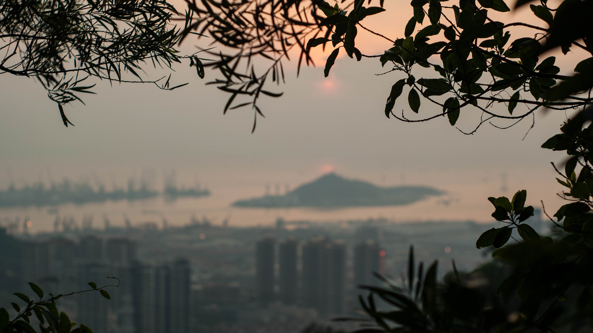 Sony Alpha DSLR-A330 + Minolta AF 50mm F1.7 sample photo. Sunset sea gaze photography