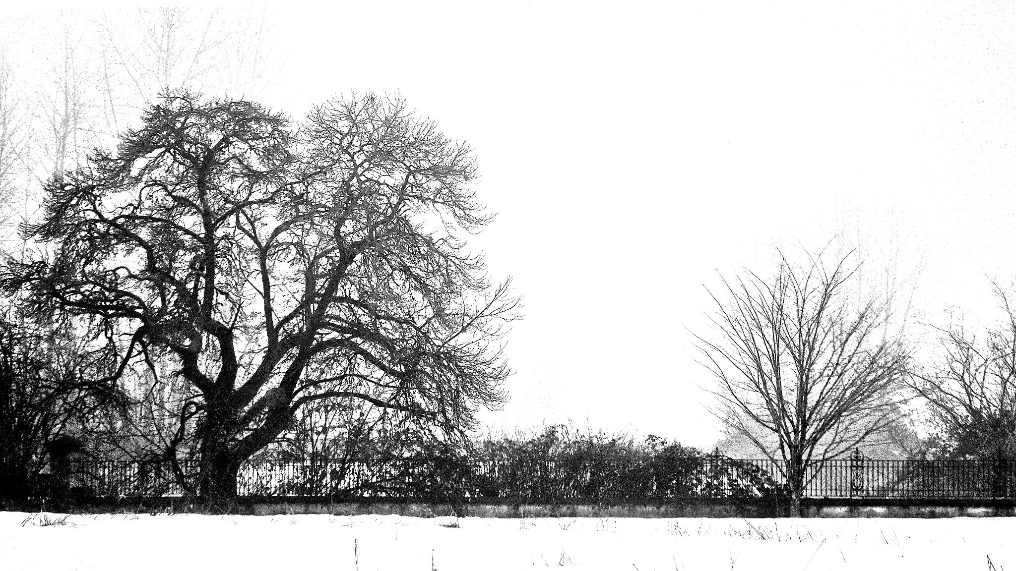Pentax smc DA 55-300mm F4.0-5.8 ED sample photo. On a bleak winter's day photography