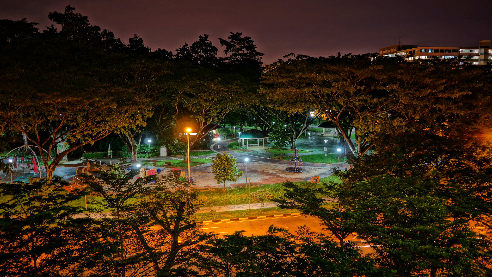 Sony Alpha NEX-5R sample photo. A night at yishun park photography