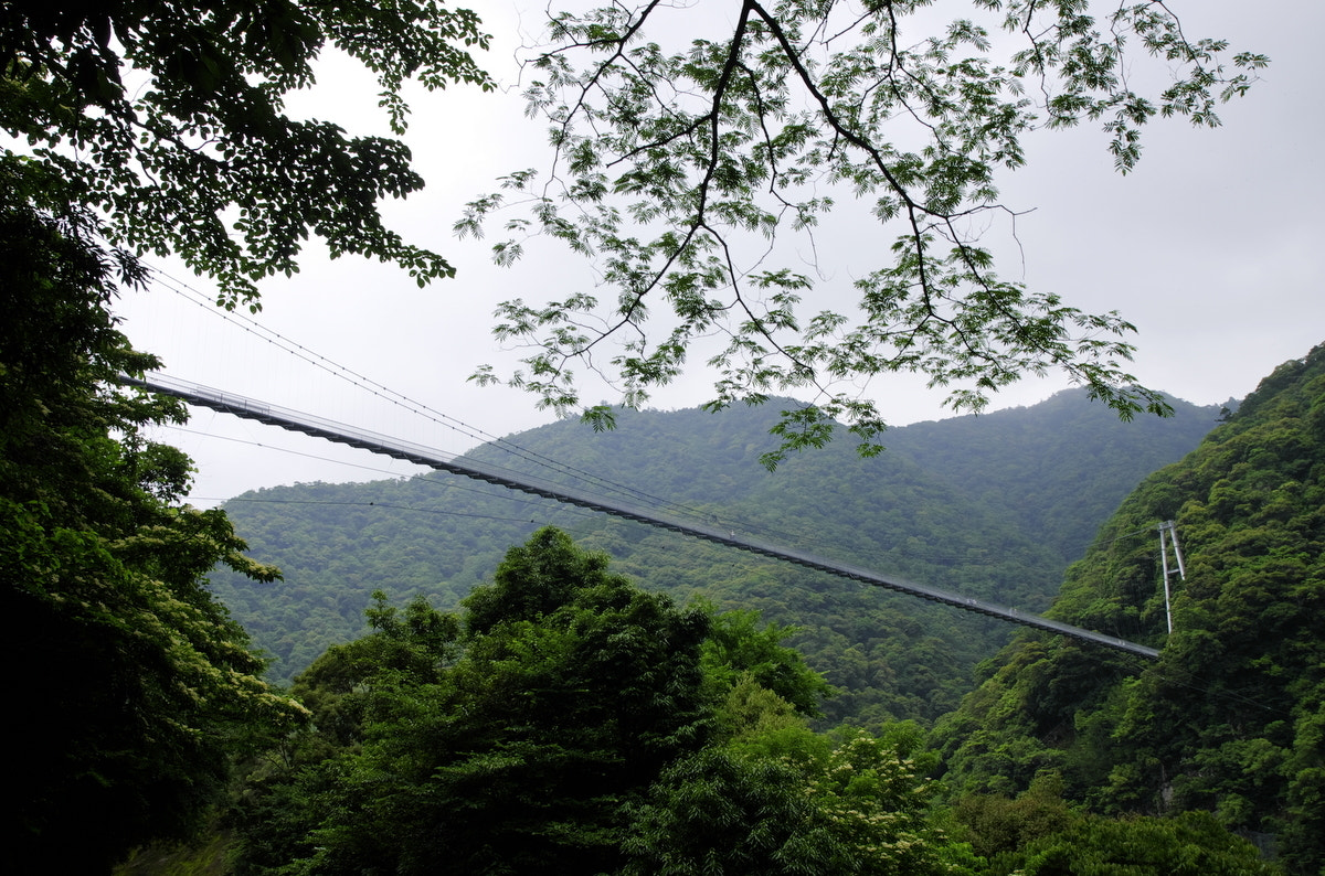 Pentax K-5 sample photo. Suspension bridge photography