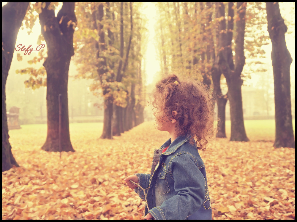 Sony DT 18-200mm F3.5-6.3 sample photo. Playing under the autumn trees photography