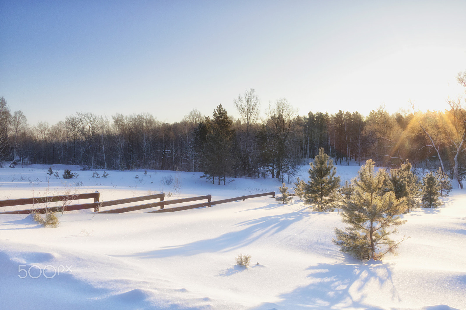 Canon EF-S 18-55mm F3.5-5.6 II sample photo. Winter sun photography
