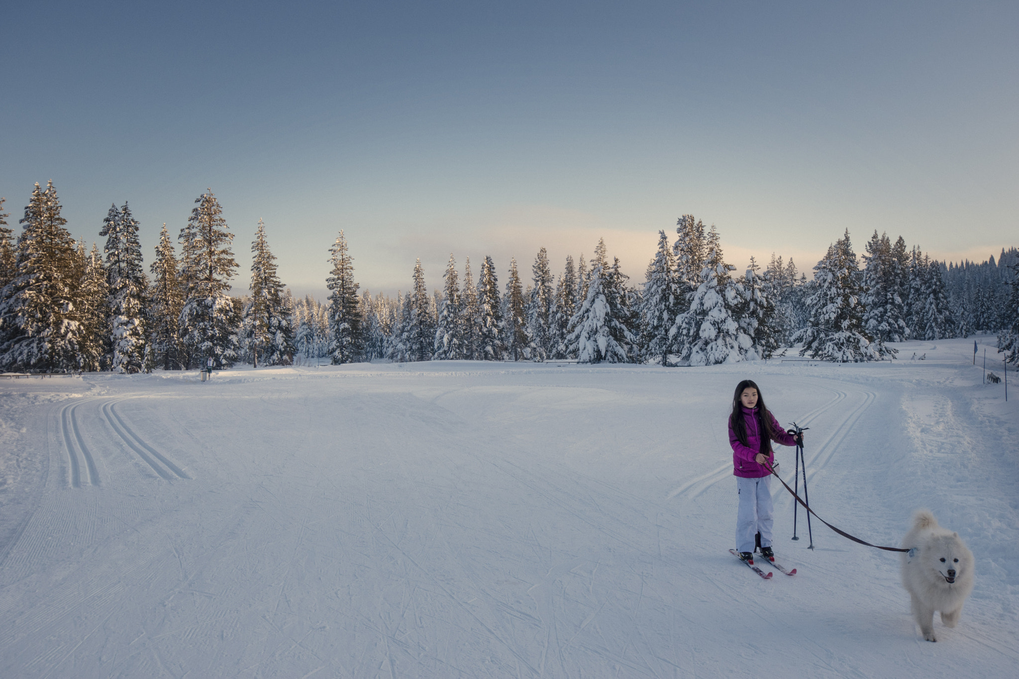 Nikon D5500 sample photo. Girl and dog photography