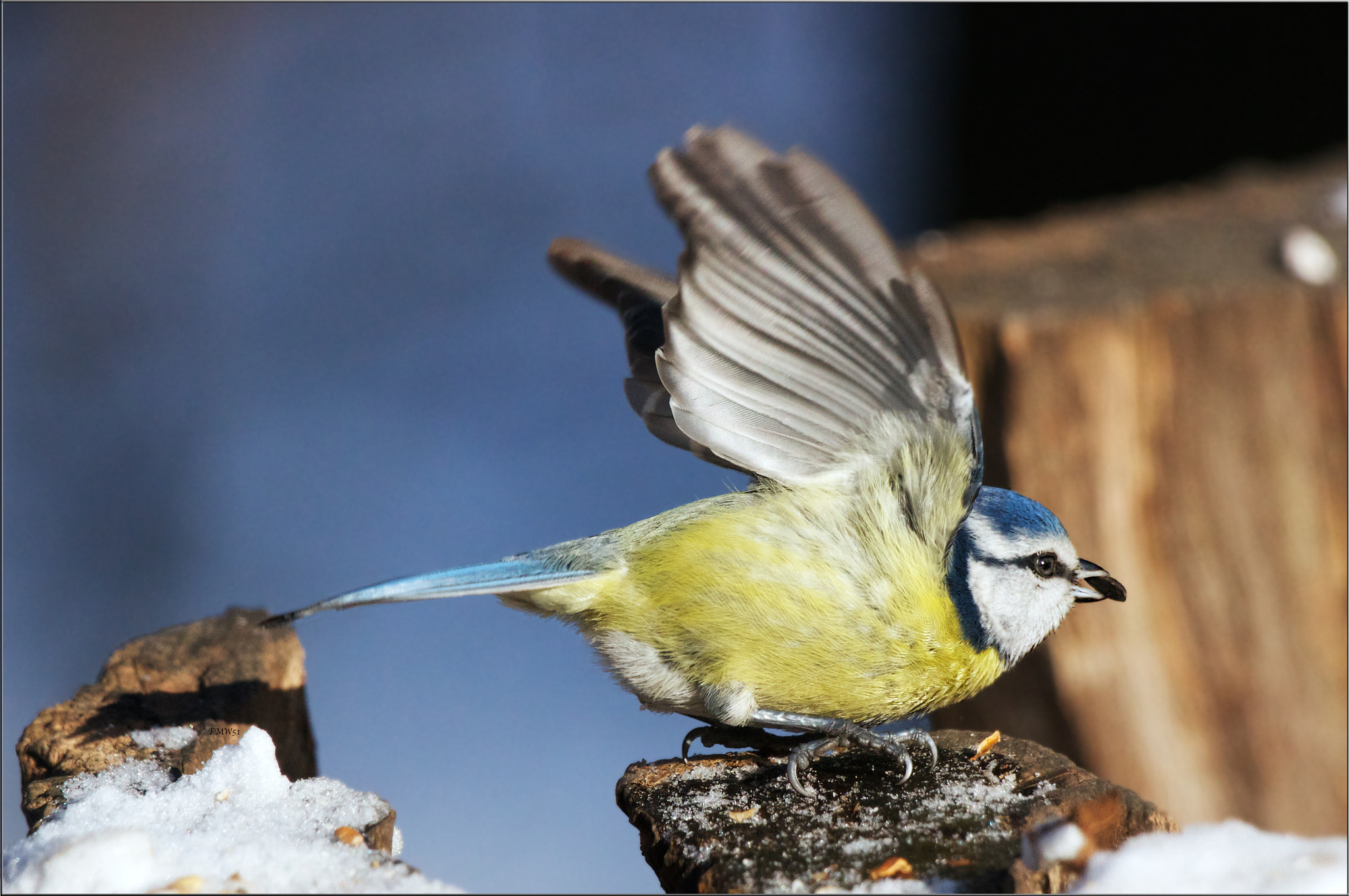 Sony 70-400mm F4-5.6 G SSM sample photo. Ready for lift-off photography