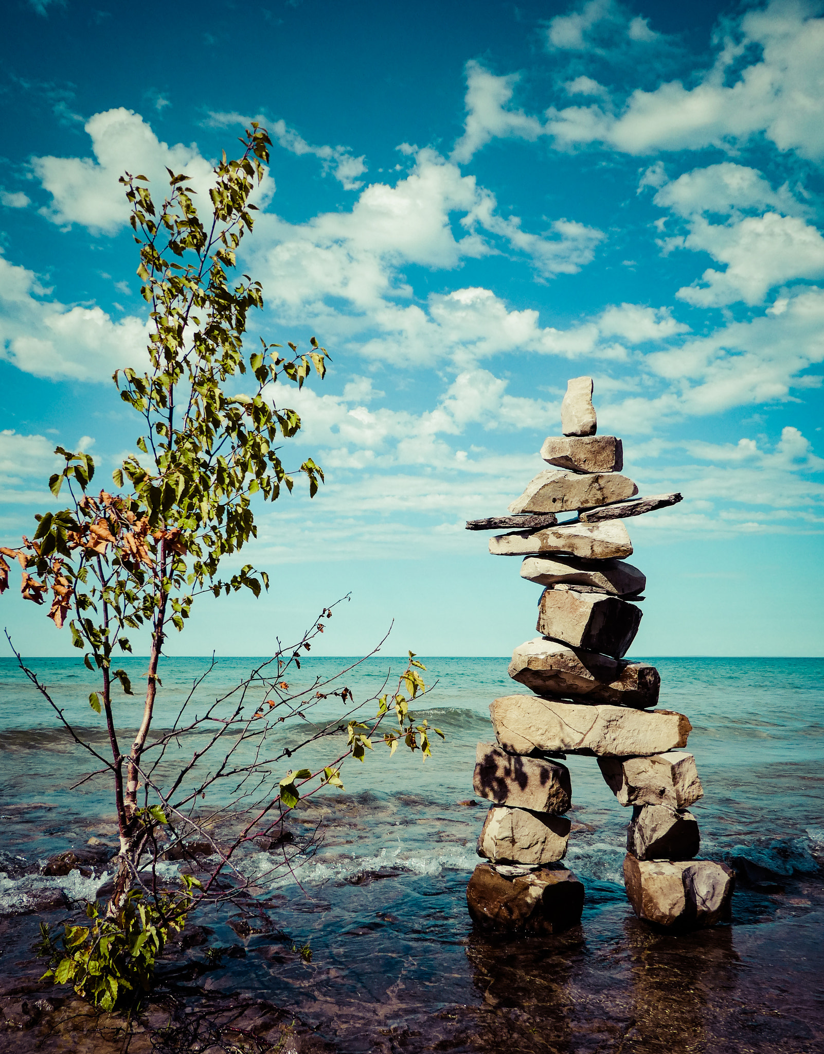 Panasonic DMC-ZS60 sample photo. Canadian graffiti photography