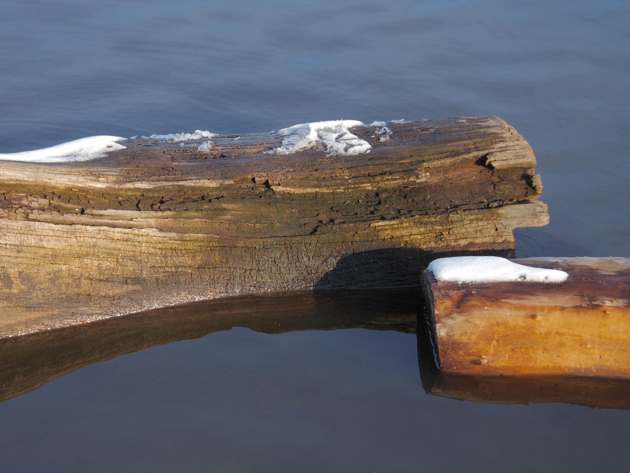 Pentax Q-S1 sample photo. Water logs photography