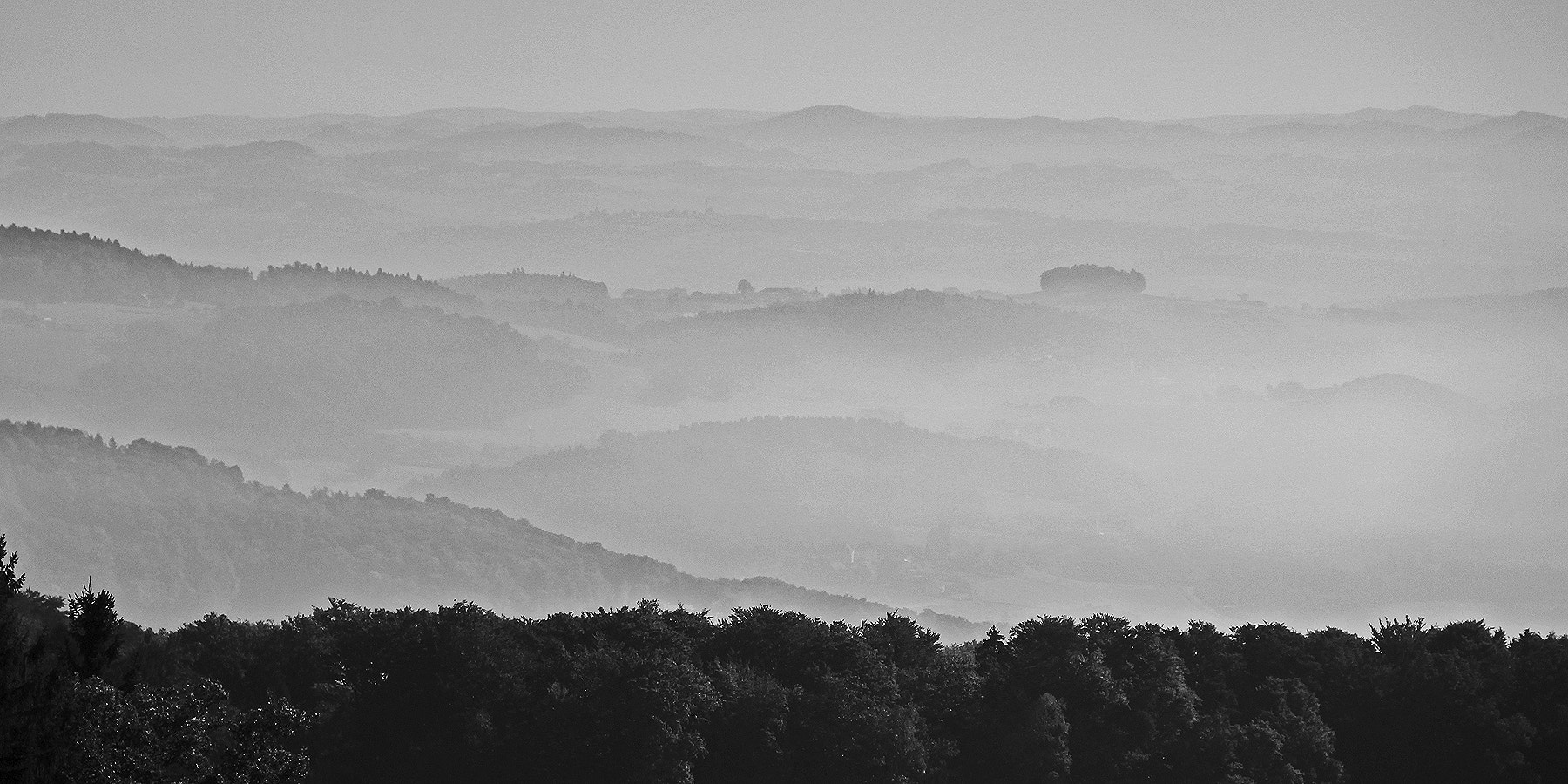 Canon EOS 650D (EOS Rebel T4i / EOS Kiss X6i) sample photo. Morning mist photography
