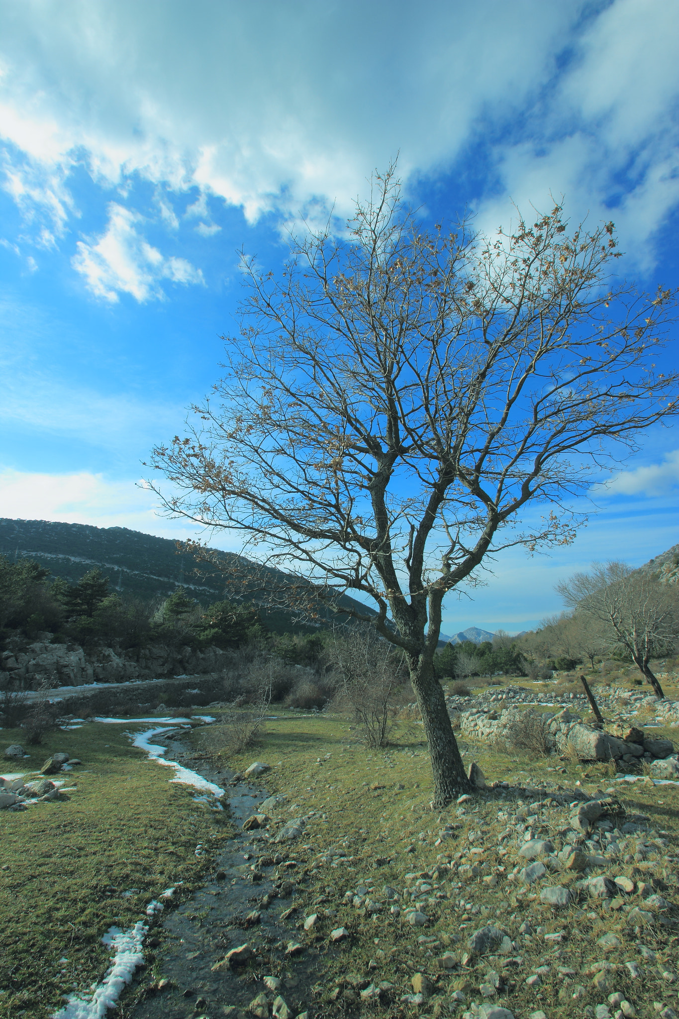 Sigma 10-20mm F3.5 EX DC HSM sample photo. After snow.. photography